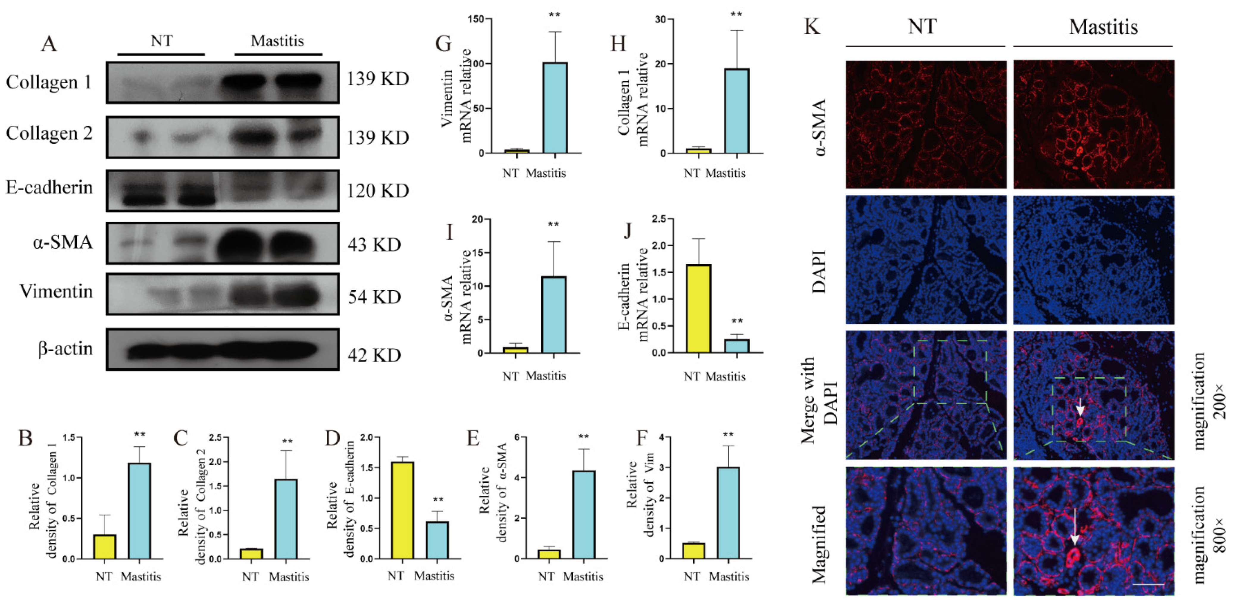 Metabolites 12 01035 g003