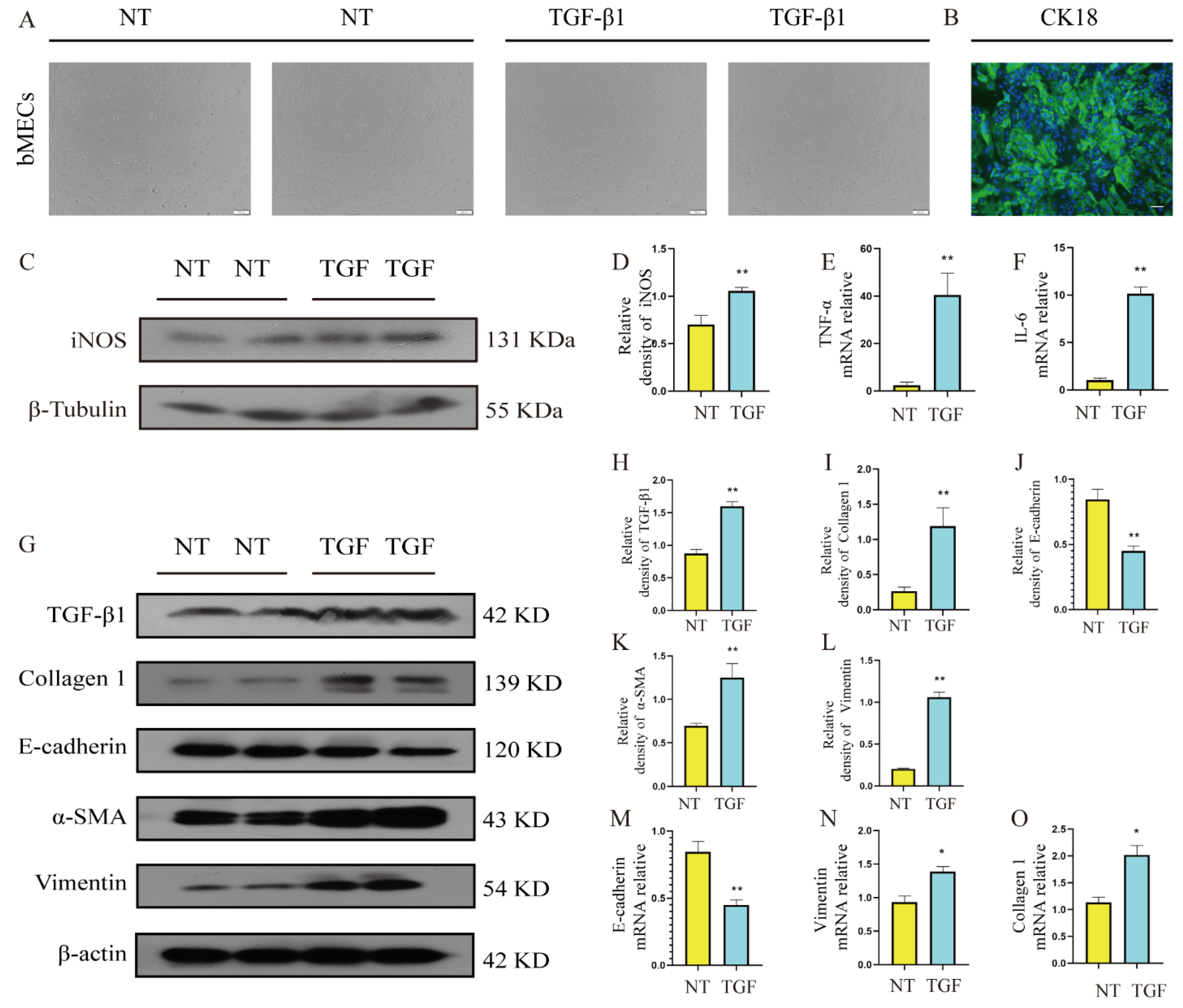 Metabolites 12 01035 g005