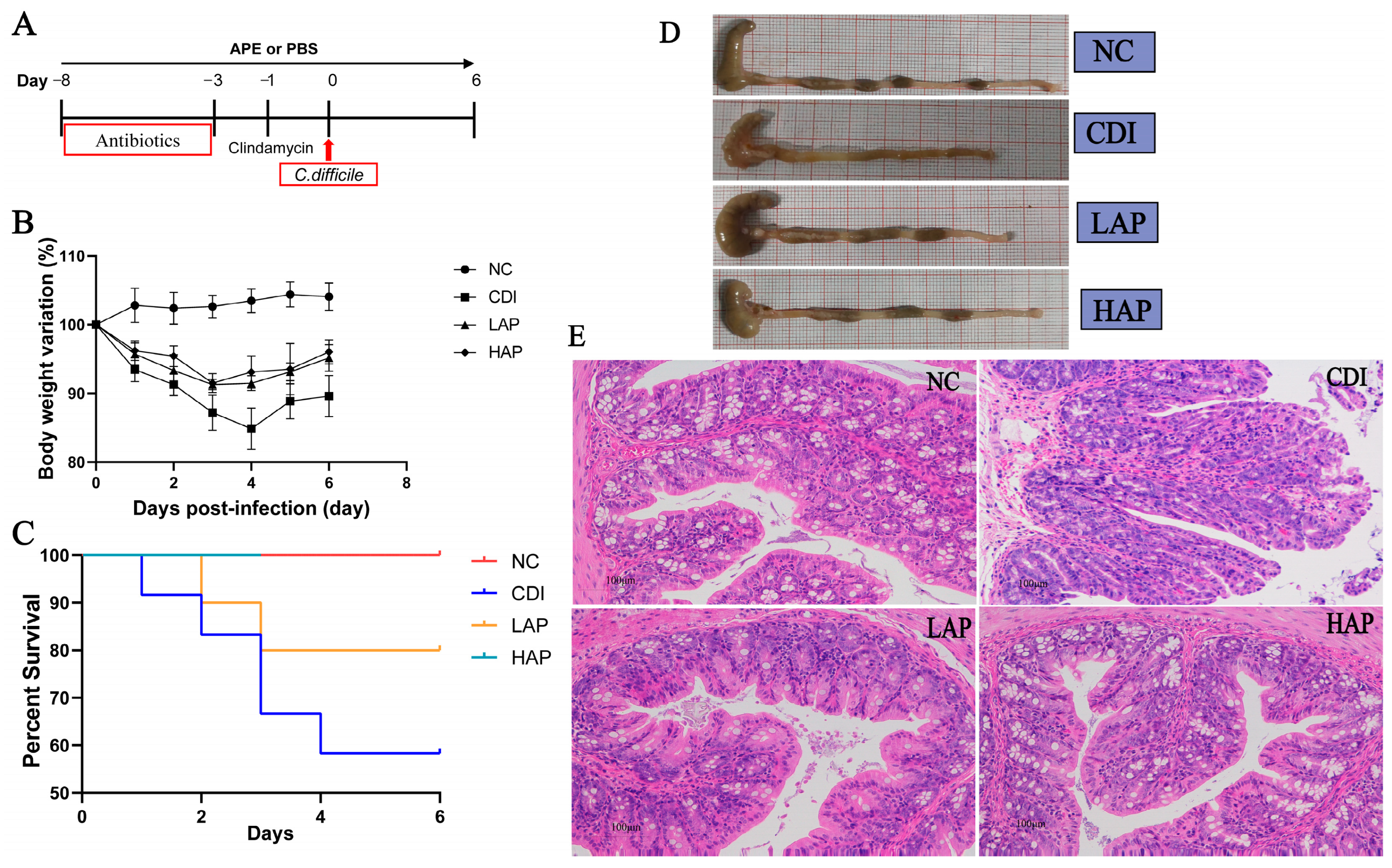 Metabolites 12 01042 g001 Metabolites 12 01042 g001