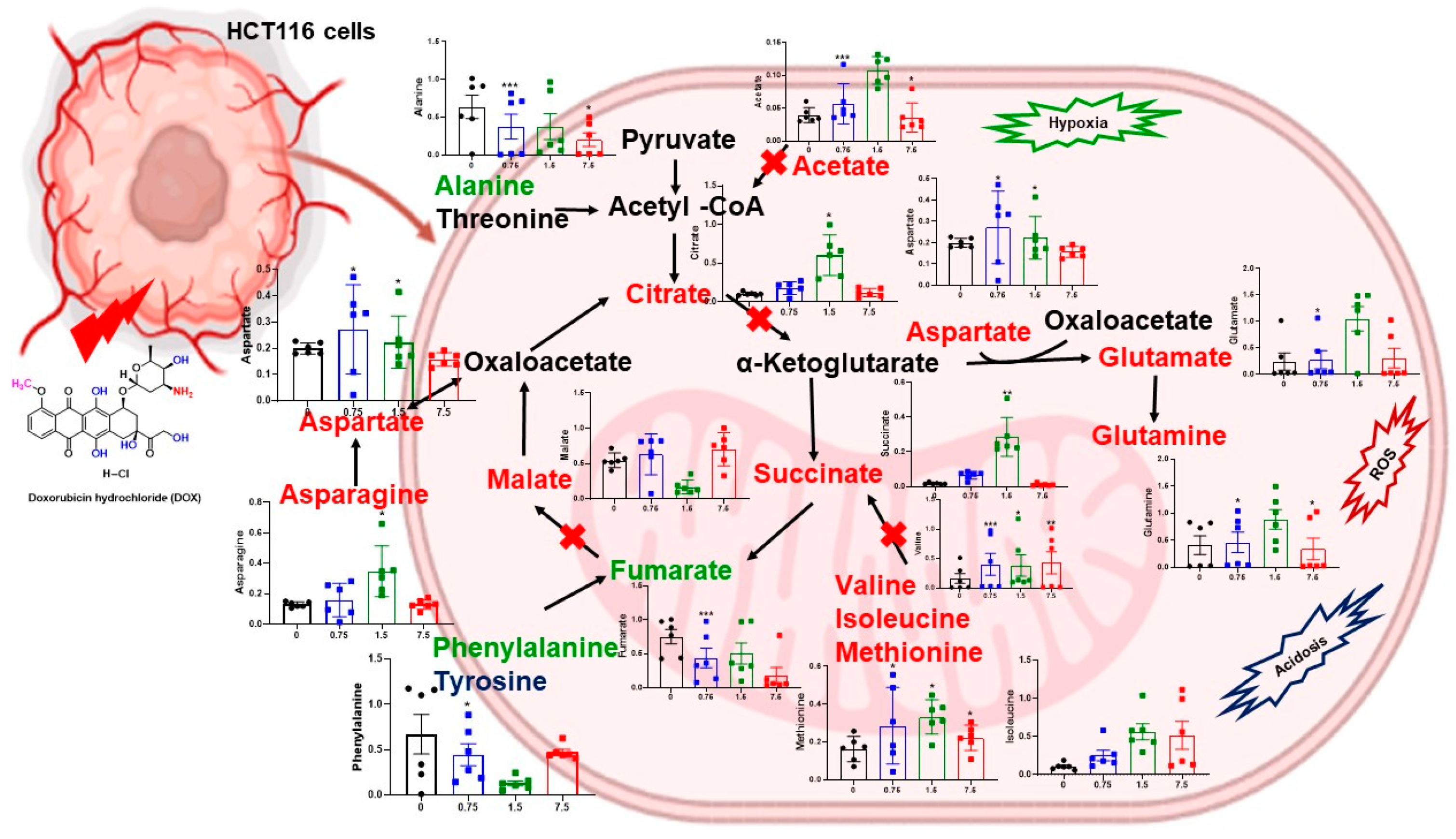 Metabolites 12 01047 g007 Metabolites 12 01047 g007