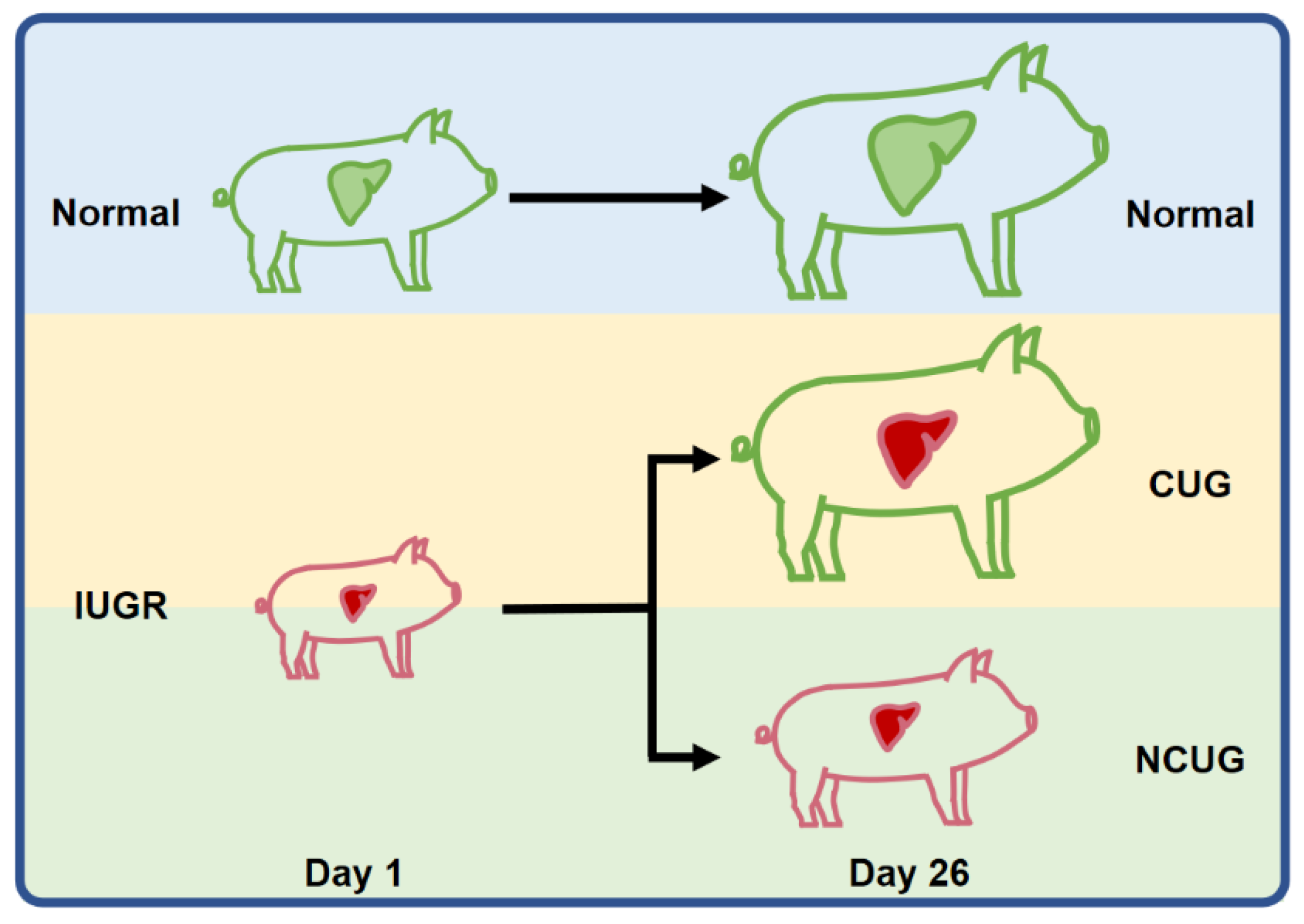 Metabolites 12 01053 g001 Metabolites 12 01053 g001