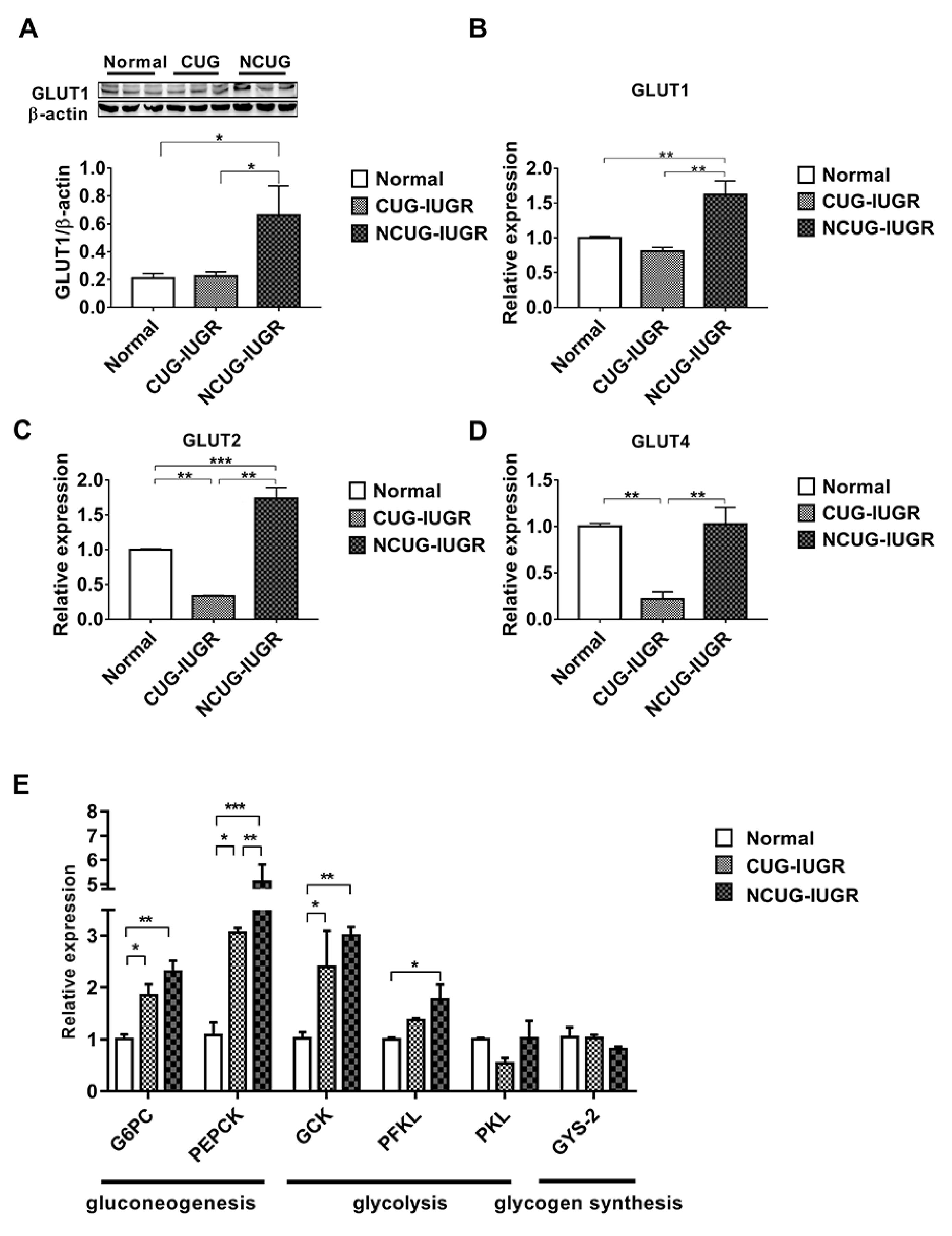 Metabolites 12 01053 g005 Metabolites 12 01053 g005