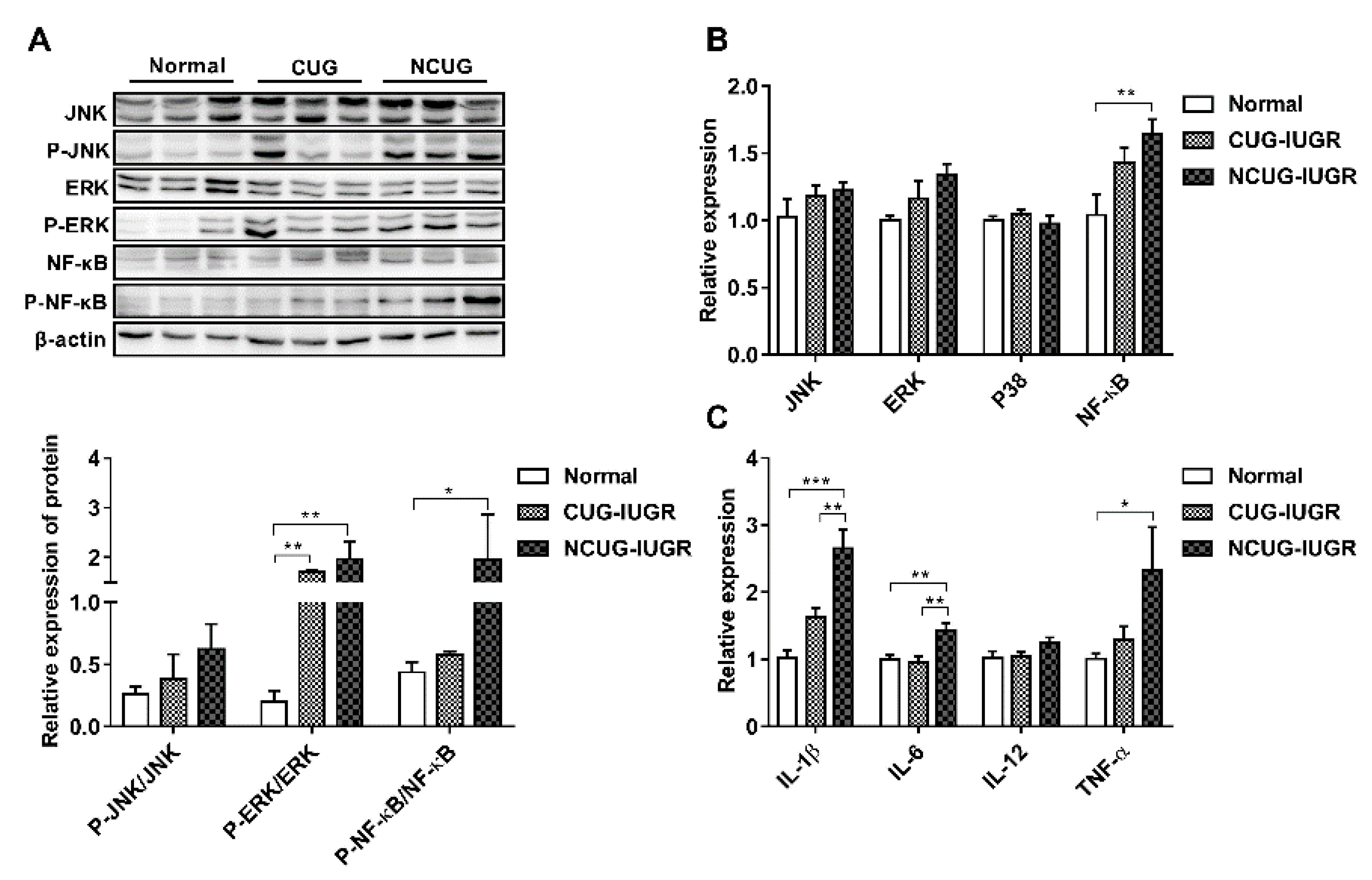 Metabolites 12 01053 g008 Metabolites 12 01053 g008