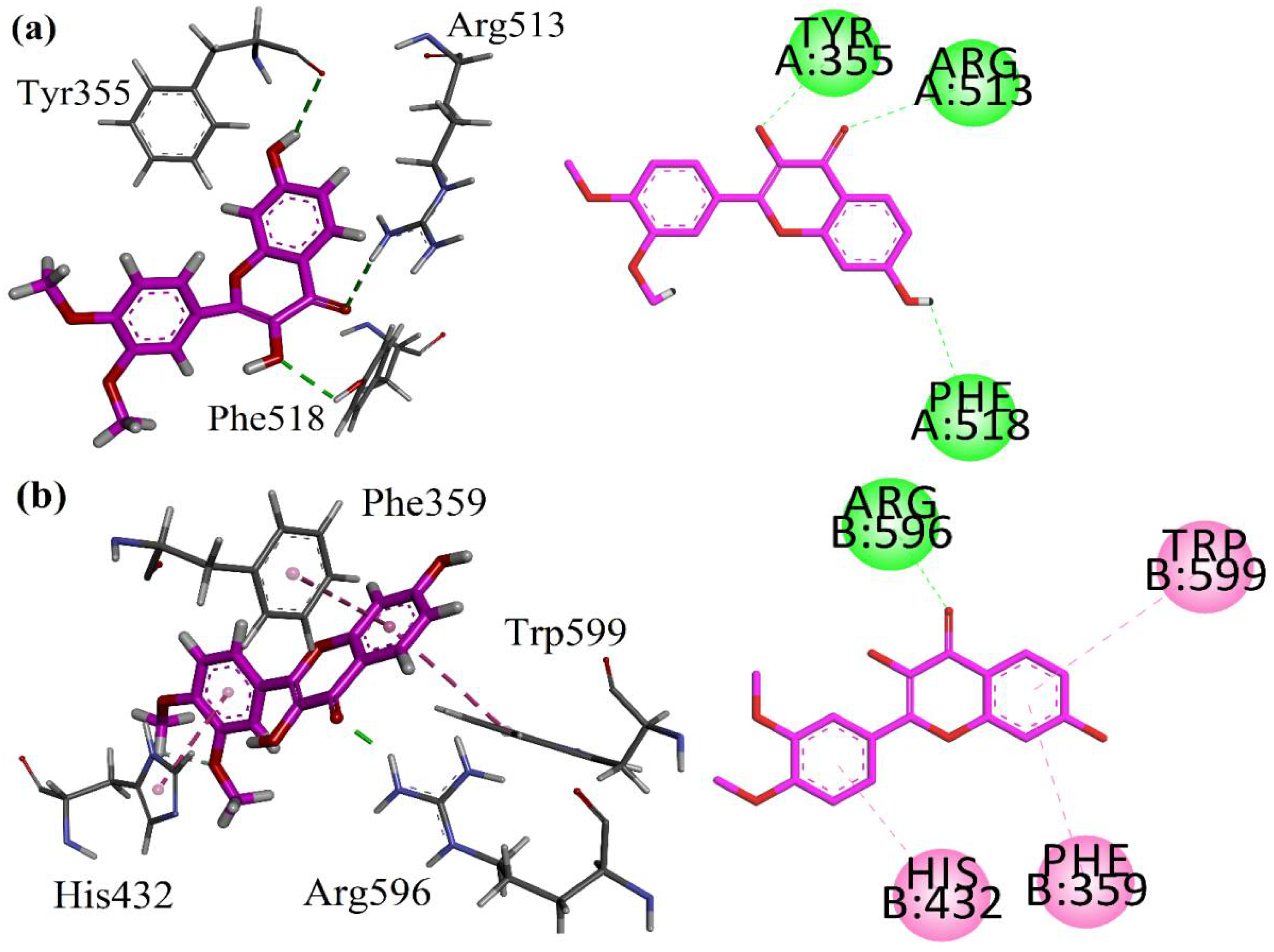 Metabolites 12 01055 g005 Metabolites 12 01055 g005