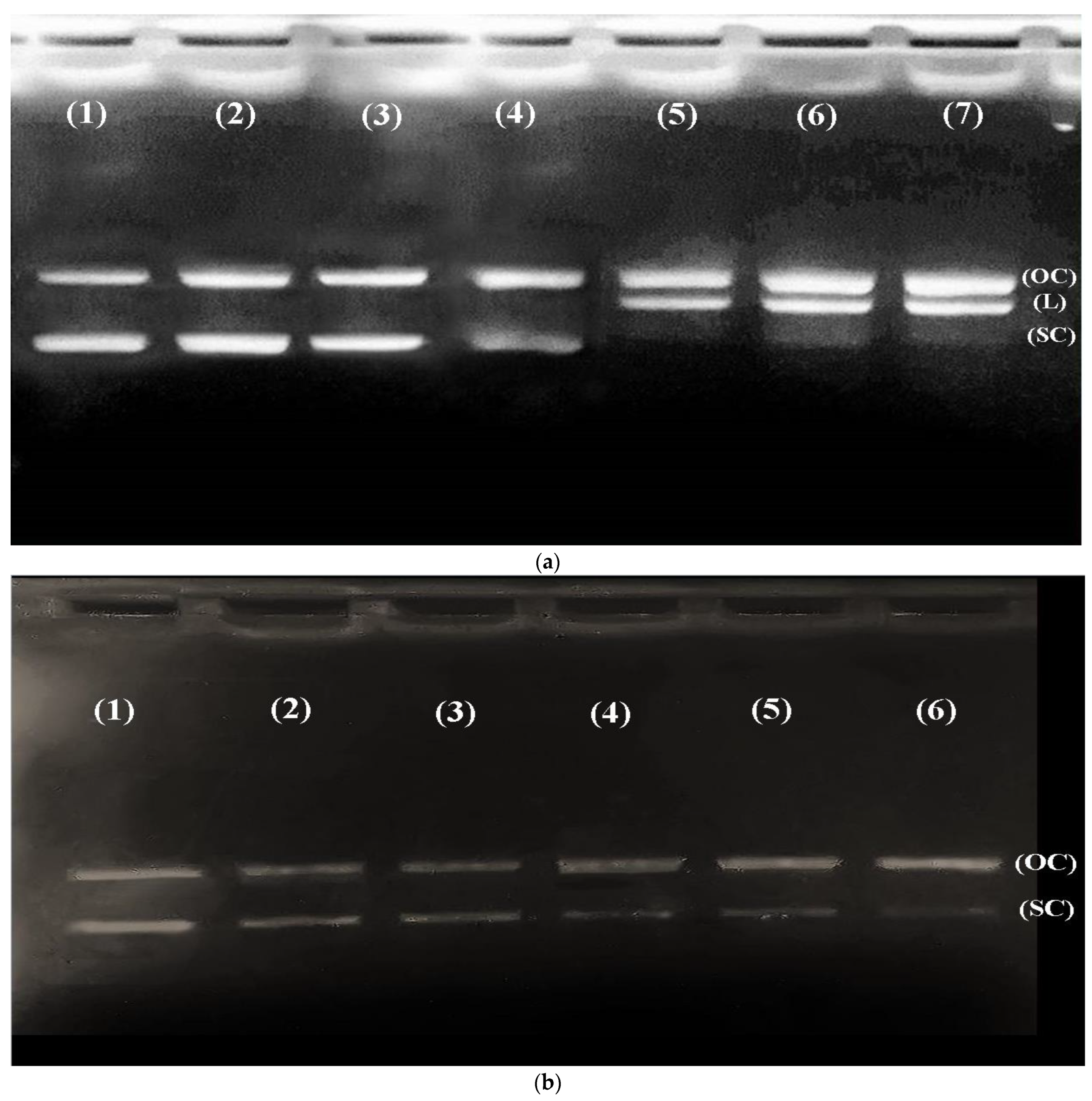 Metabolites 12 01059 g003a Metabolites 12 01059 g003a