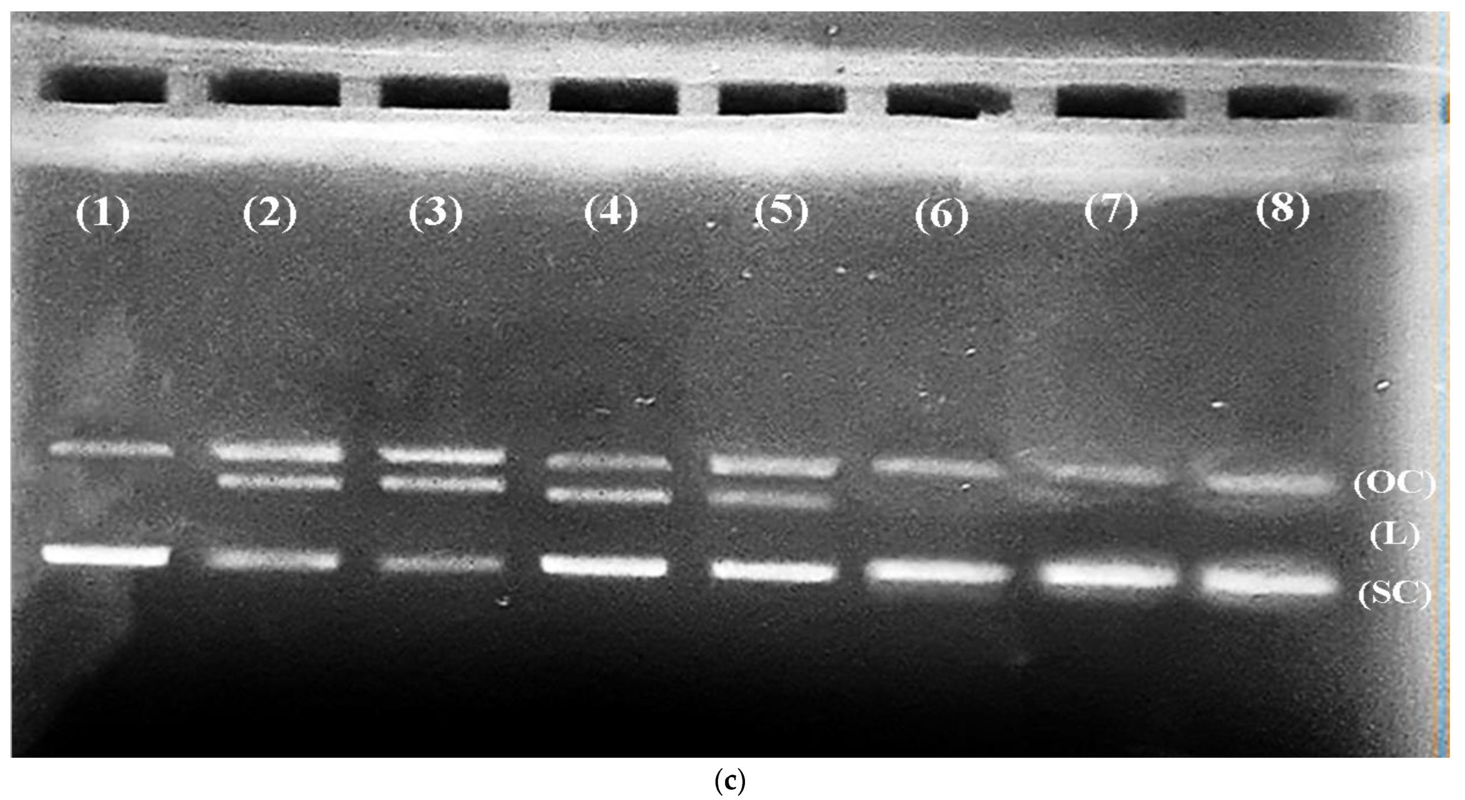 Metabolites 12 01059 g003b Metabolites 12 01059 g003b