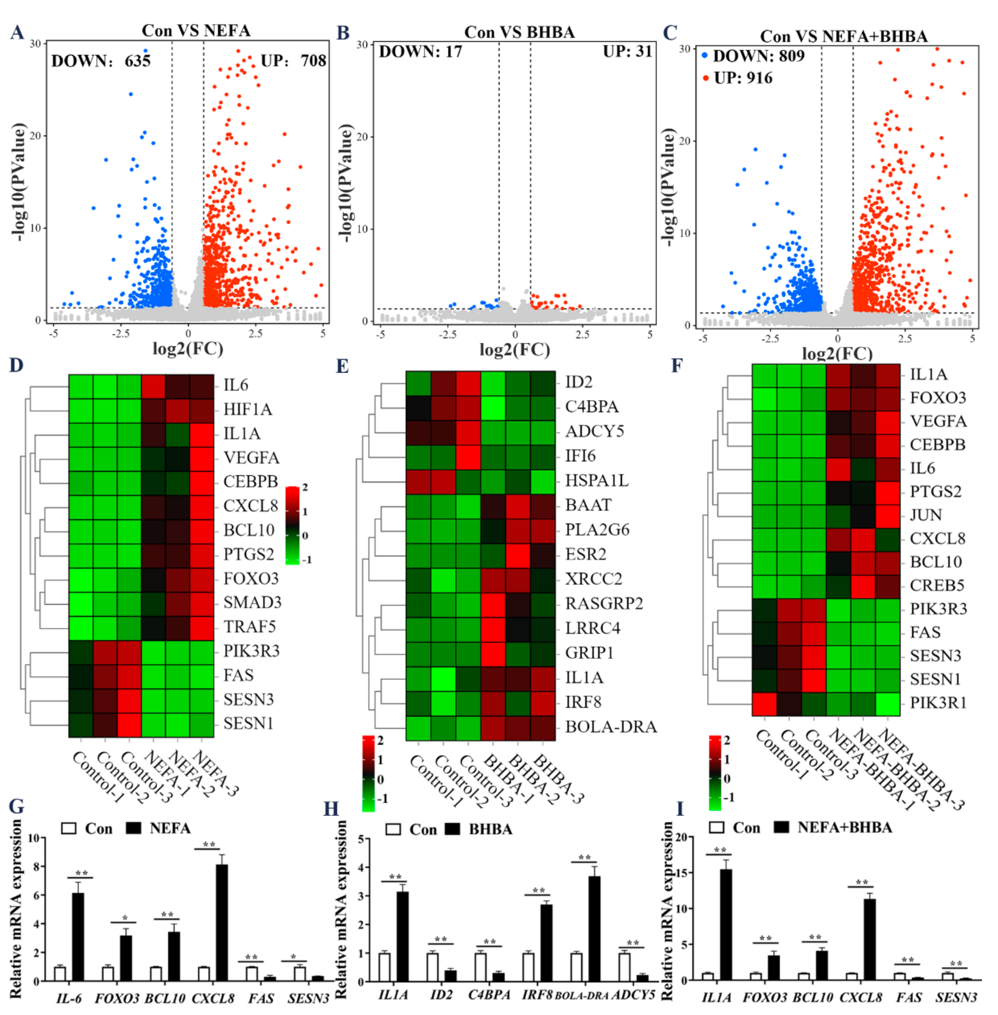 Metabolites 12 01060 g001 Metabolites 12 01060 g001