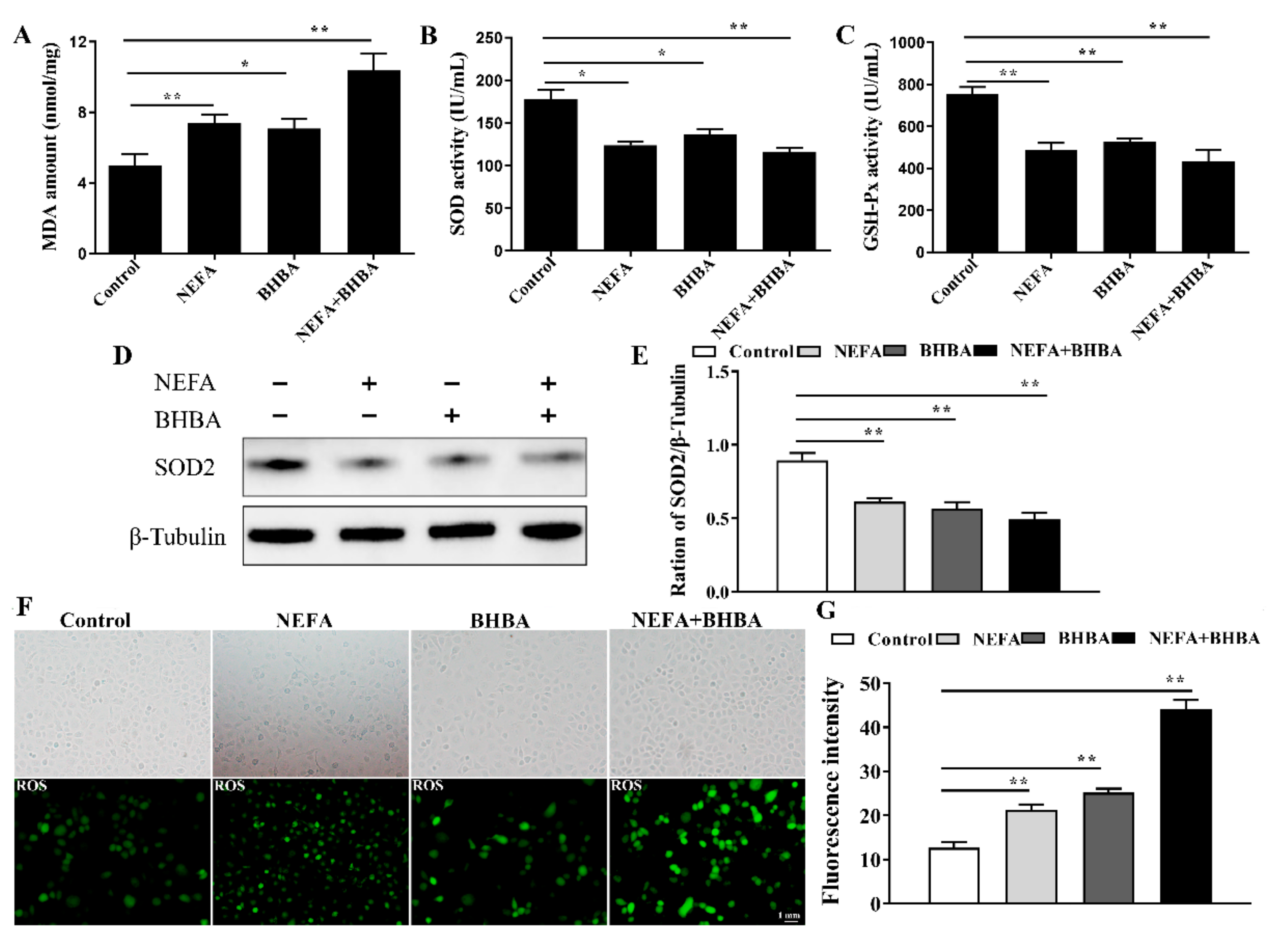 Metabolites 12 01060 g003 Metabolites 12 01060 g003