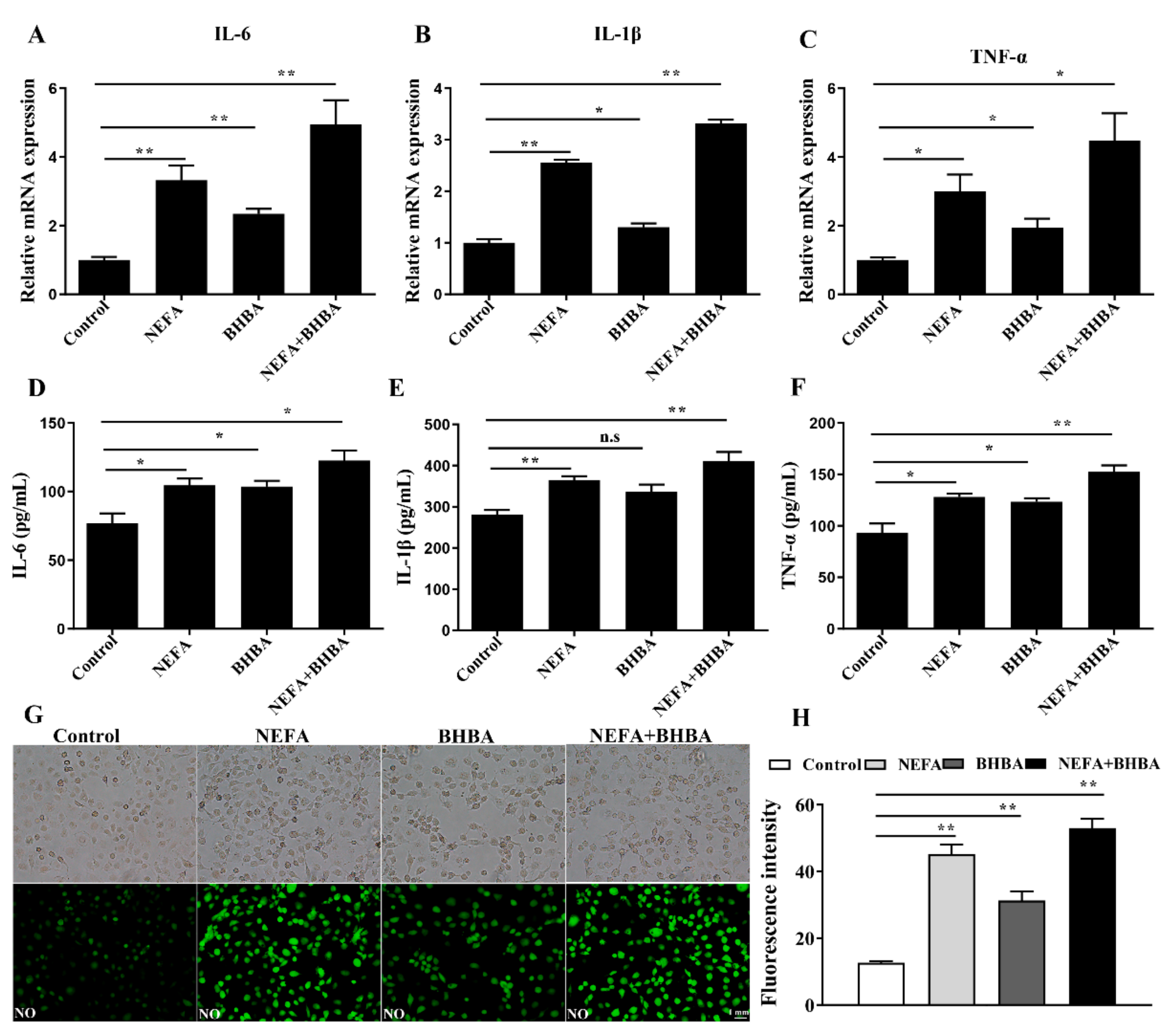 Metabolites 12 01060 g004 Metabolites 12 01060 g004