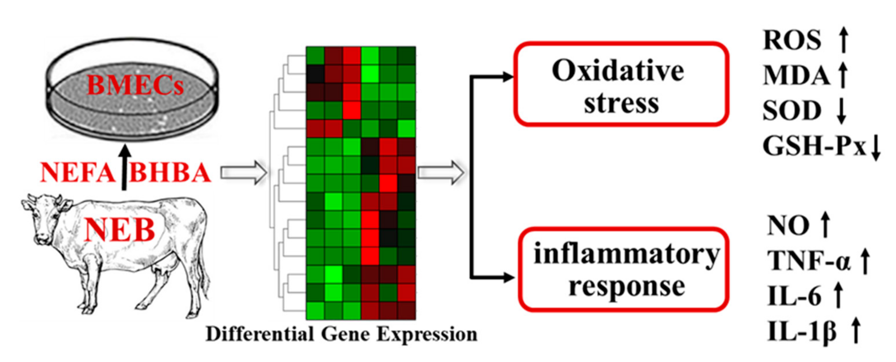 Metabolites 12 01060 g006 Metabolites 12 01060 g006