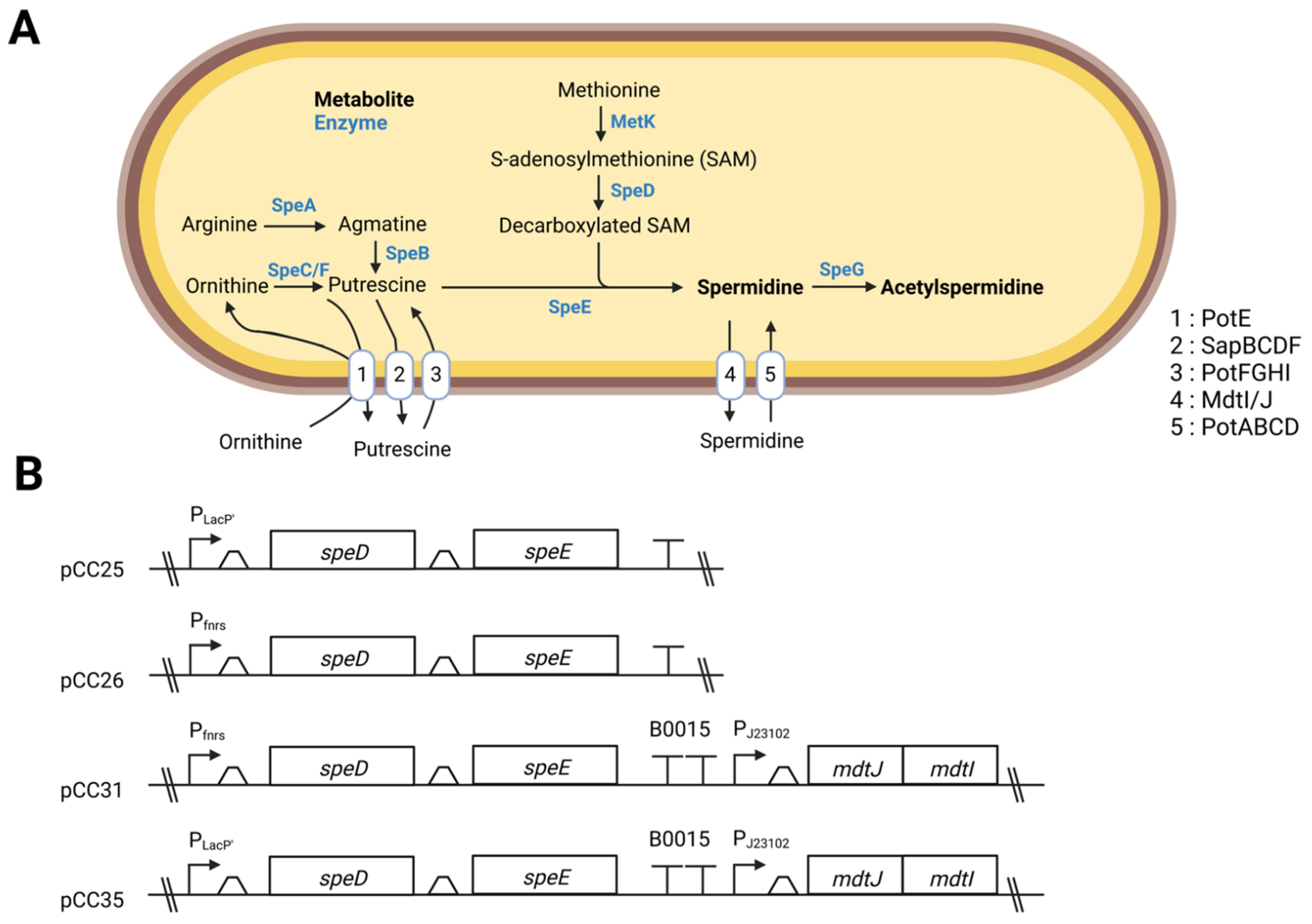 Metabolites 12 01061 g001 Metabolites 12 01061 g001