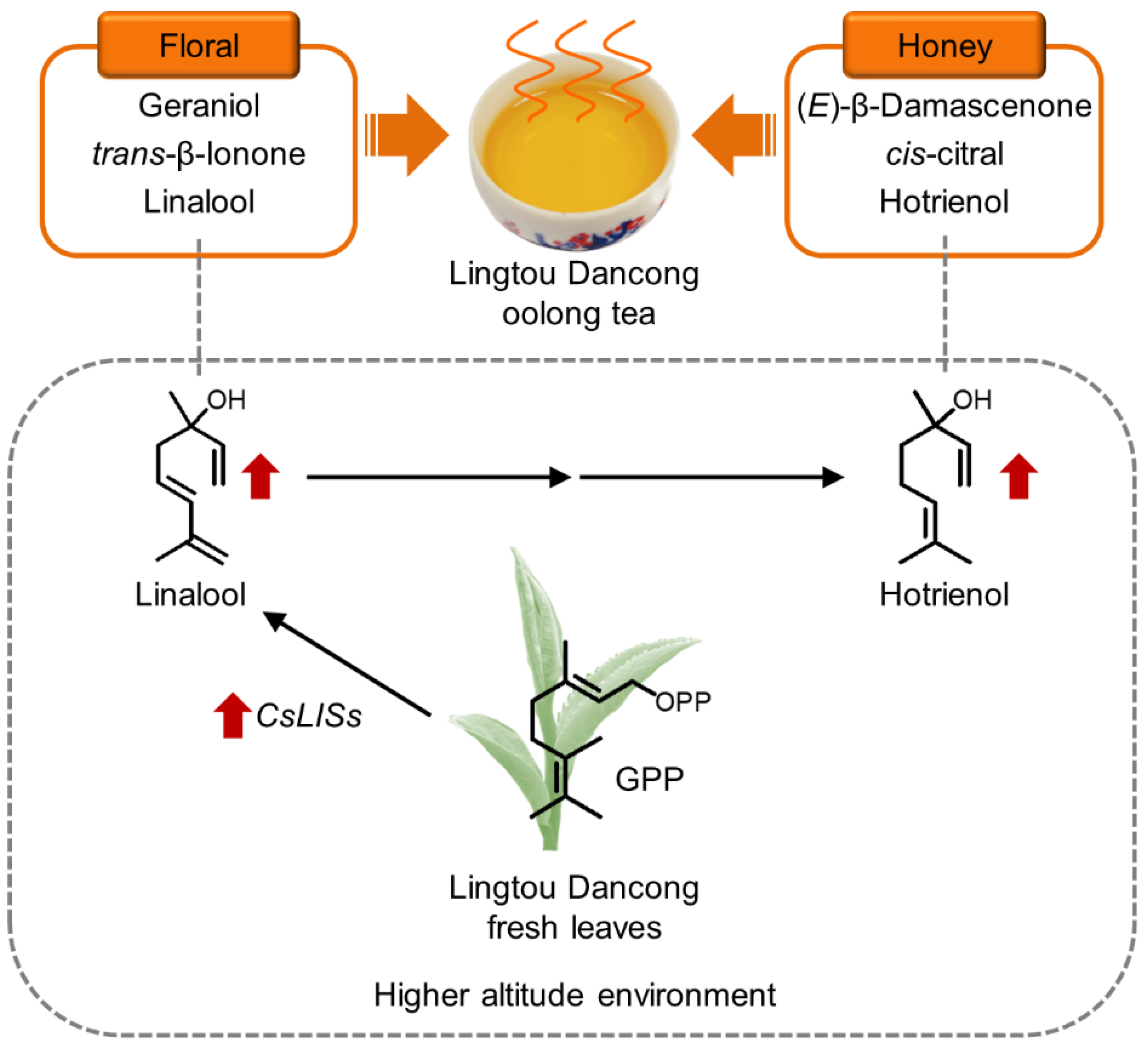 Metabolites 12 01063 g006 Metabolites 12 01063 g006