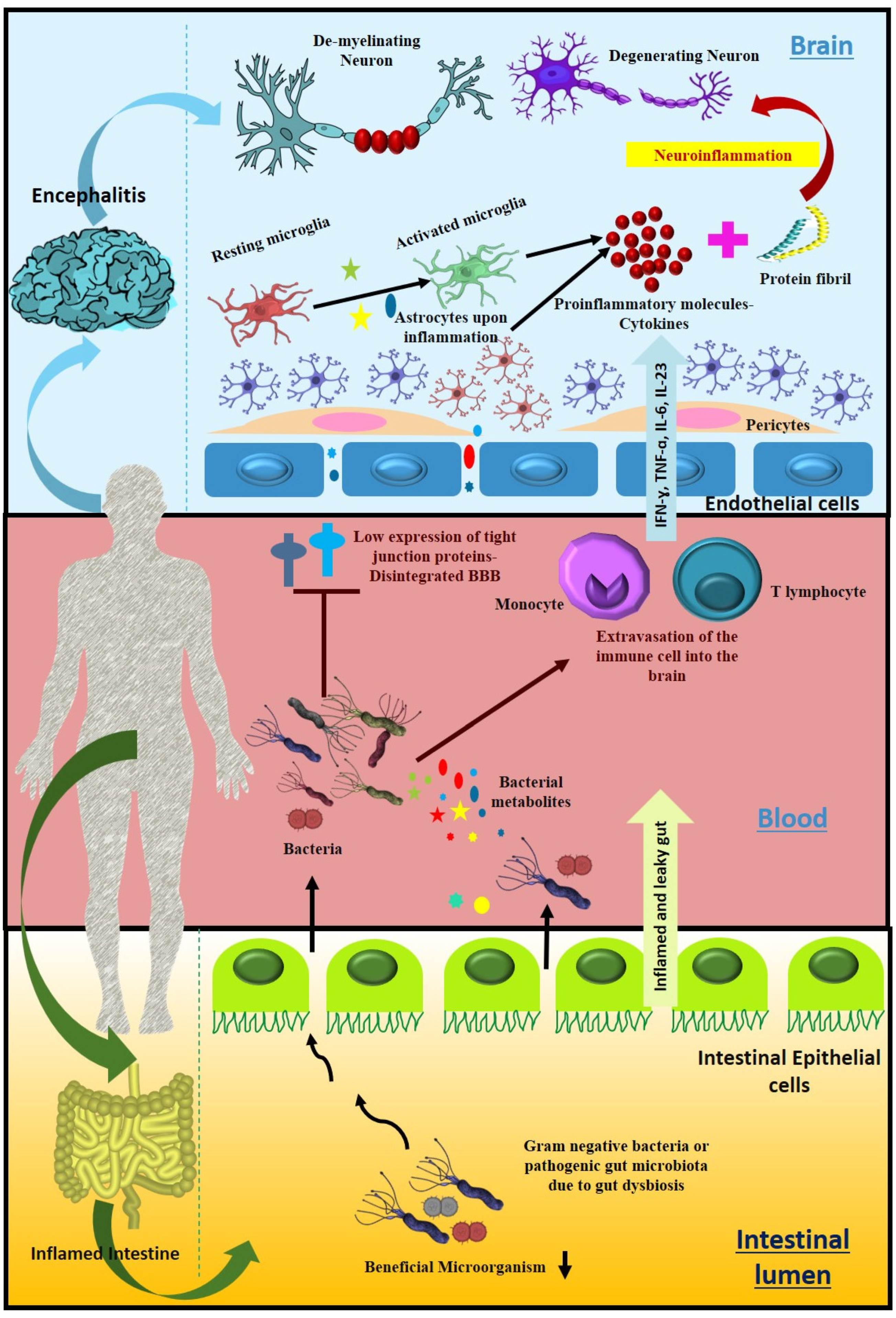 Metabolites 12 01064 g004 Metabolites 12 01064 g004