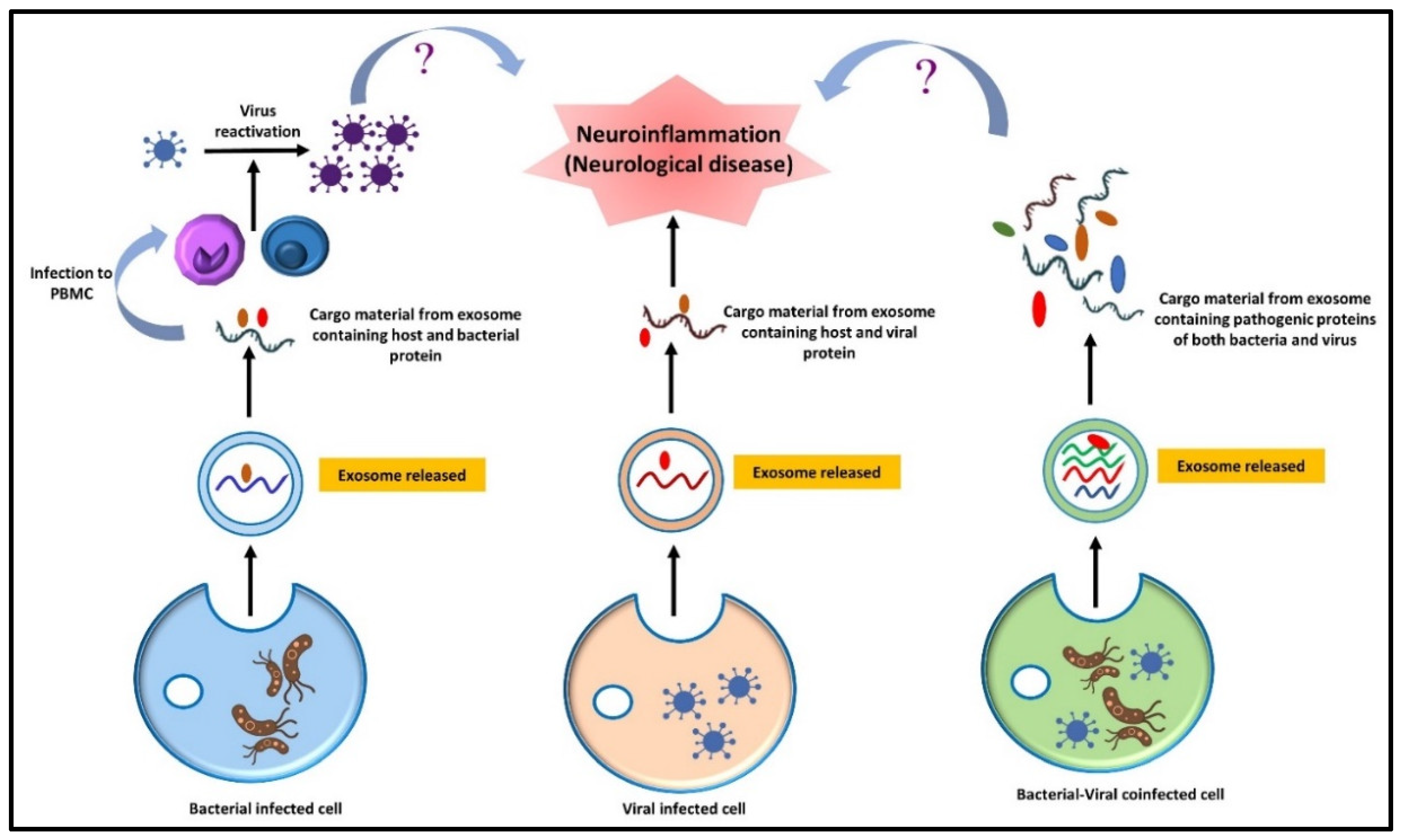 Metabolites 12 01064 g006 Metabolites 12 01064 g006