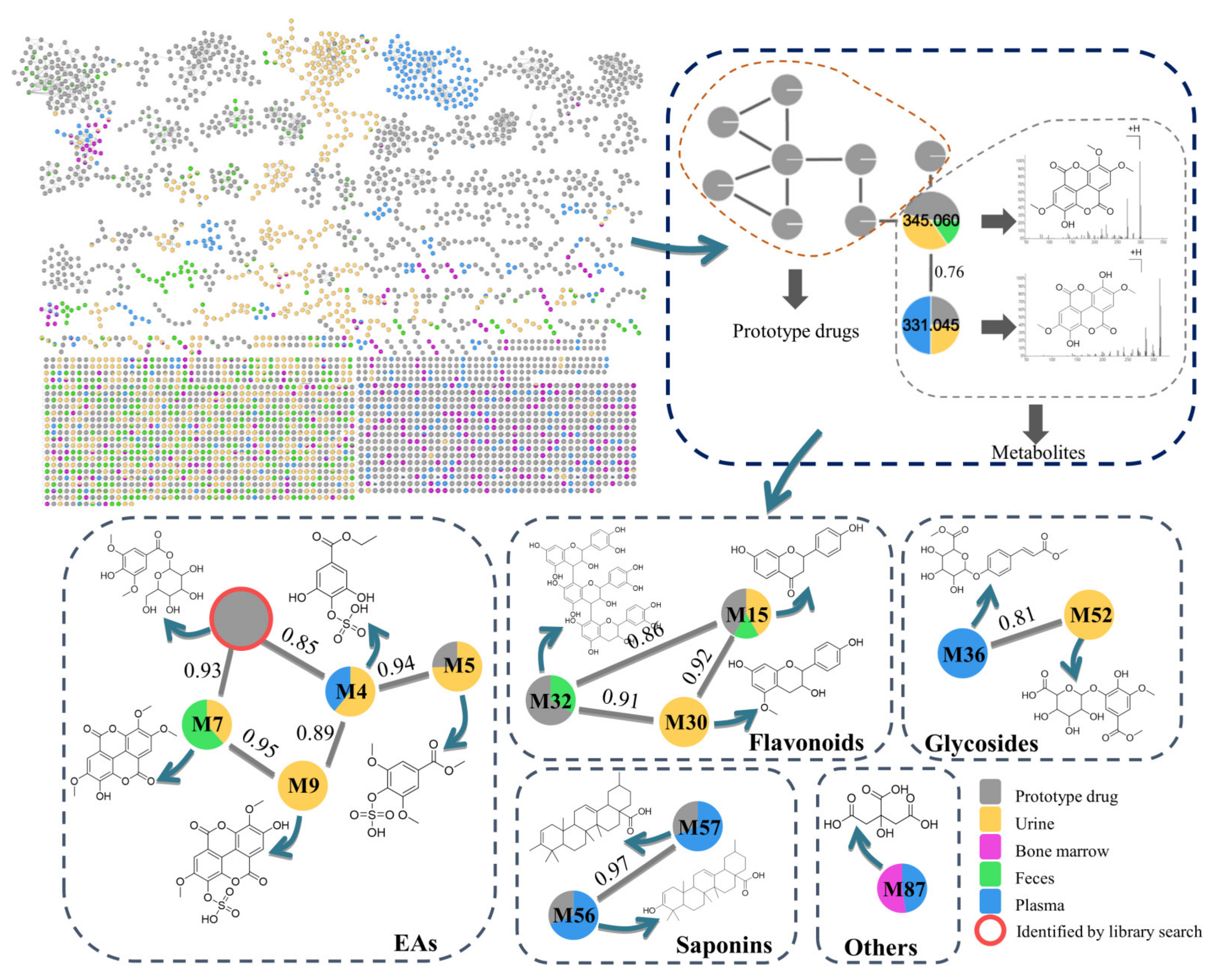 Metabolites 12 01074 g001