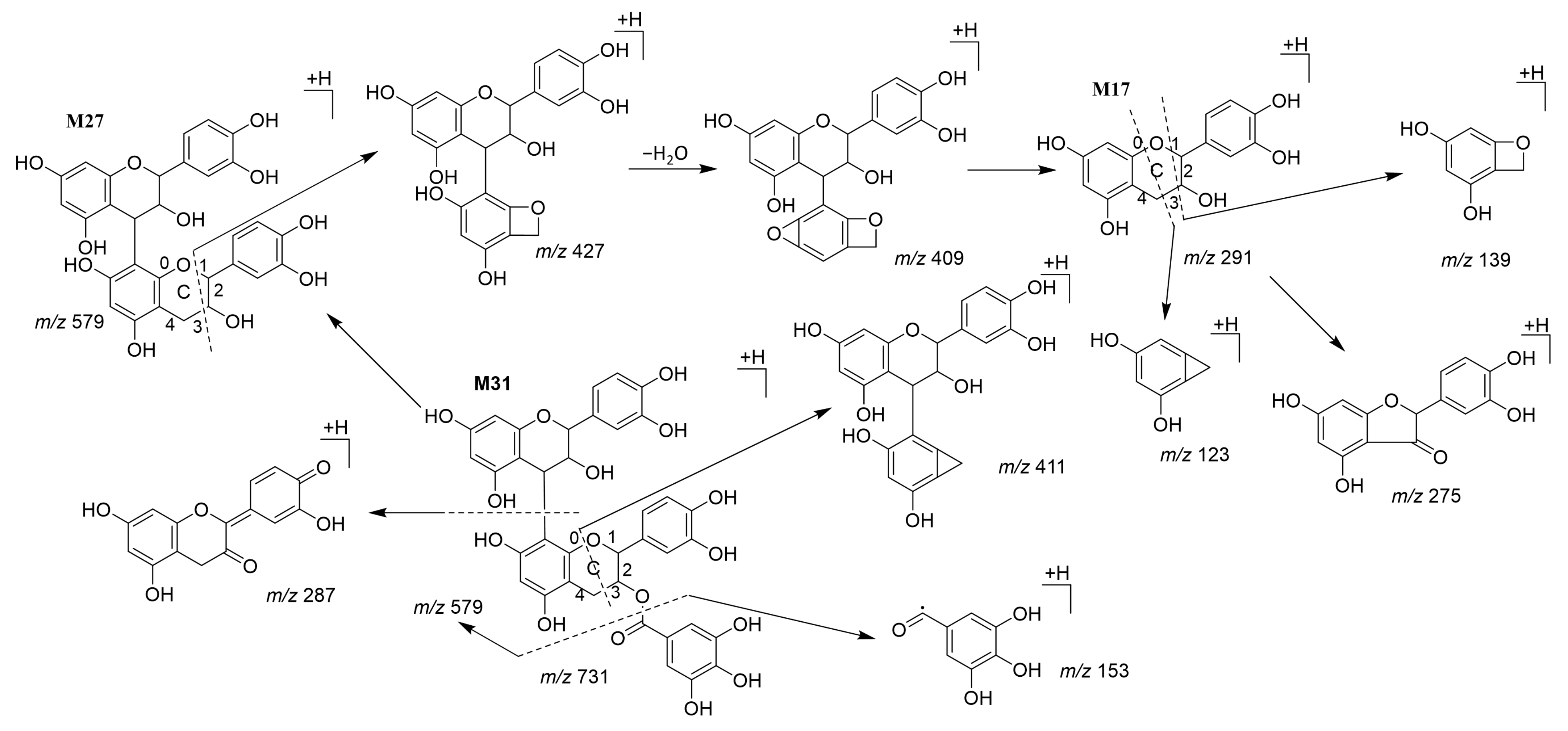 Metabolites 12 01074 g002