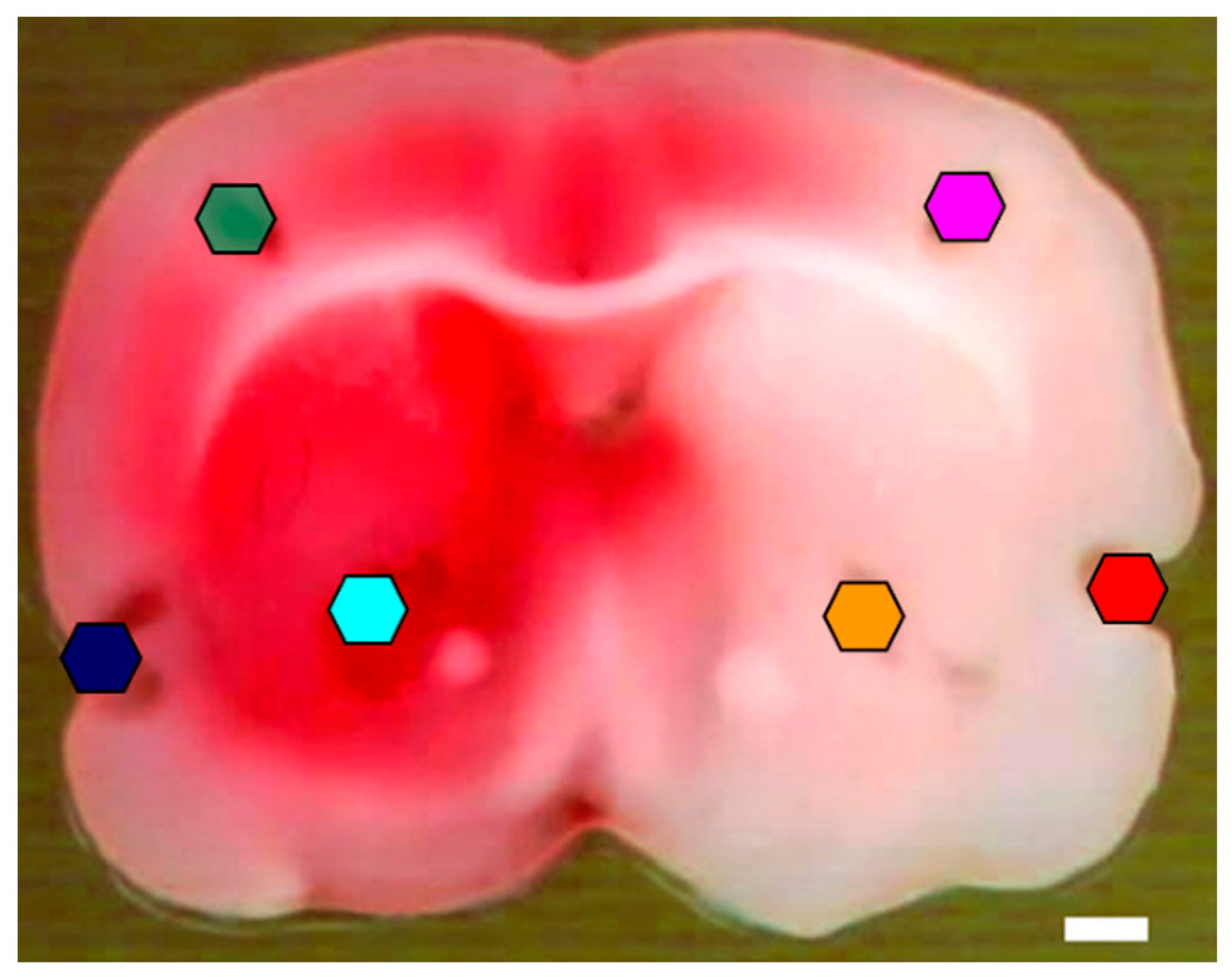 Metabolites 12 01075 g001 Metabolites 12 01075 g001