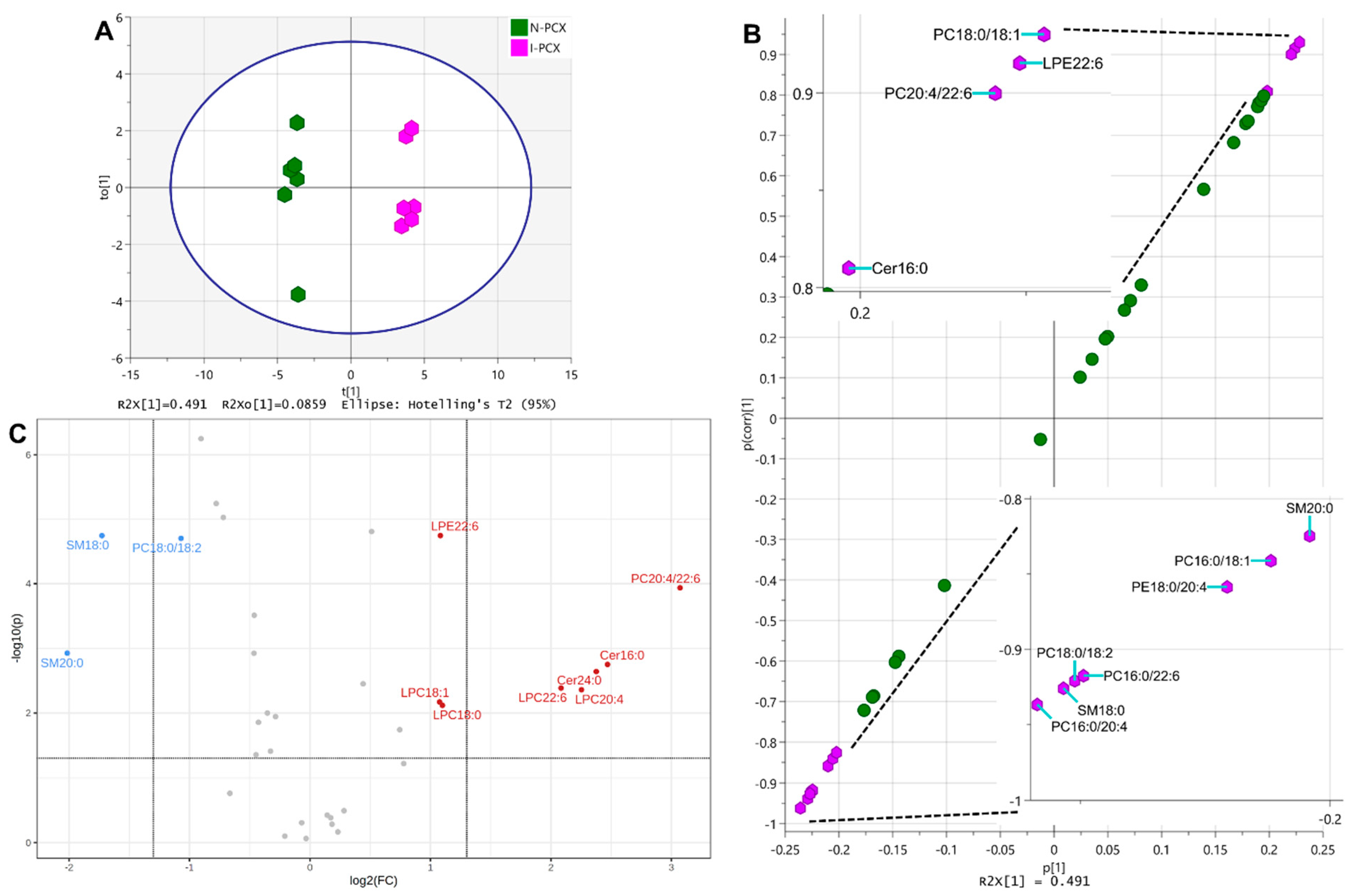 Metabolites 12 01075 g005 Metabolites 12 01075 g005