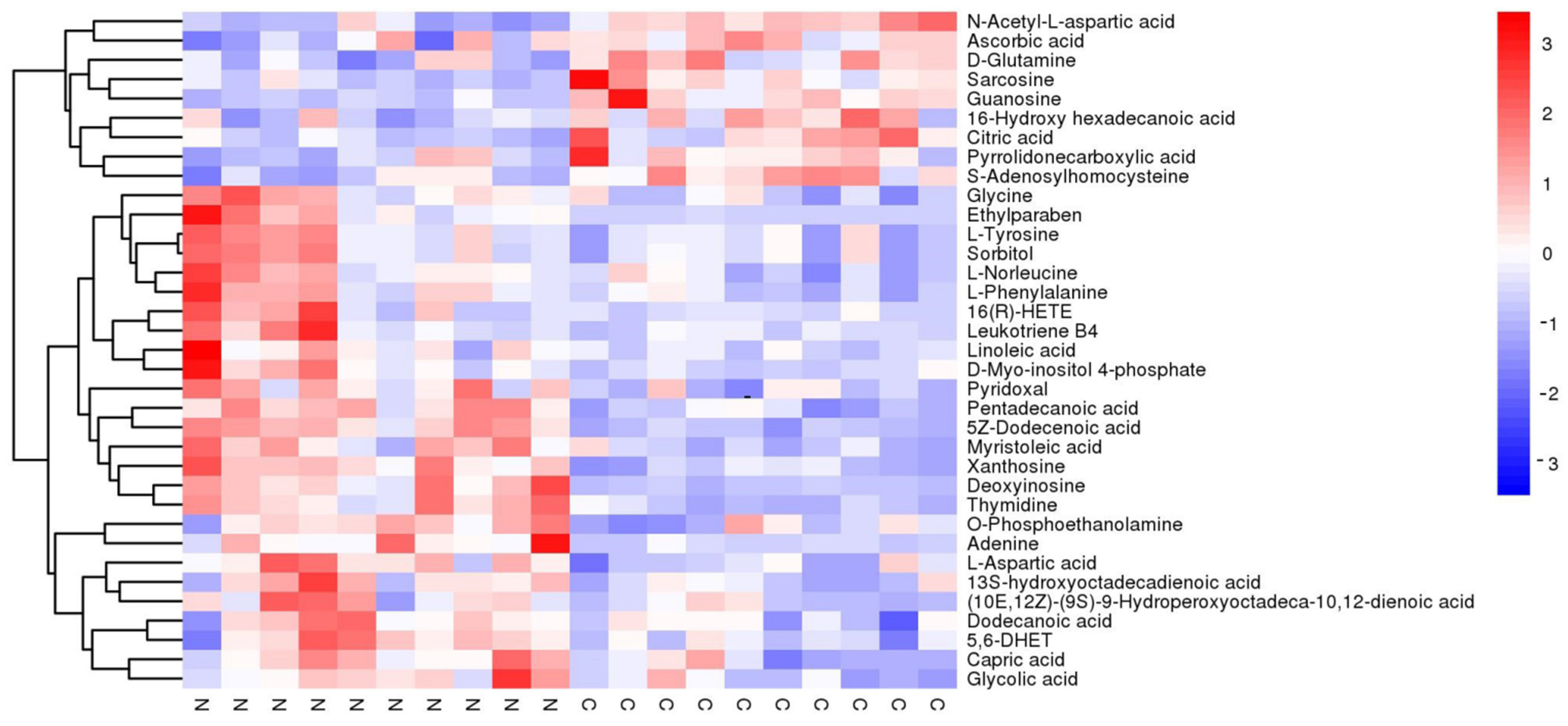 Metabolites 12 01077 g004