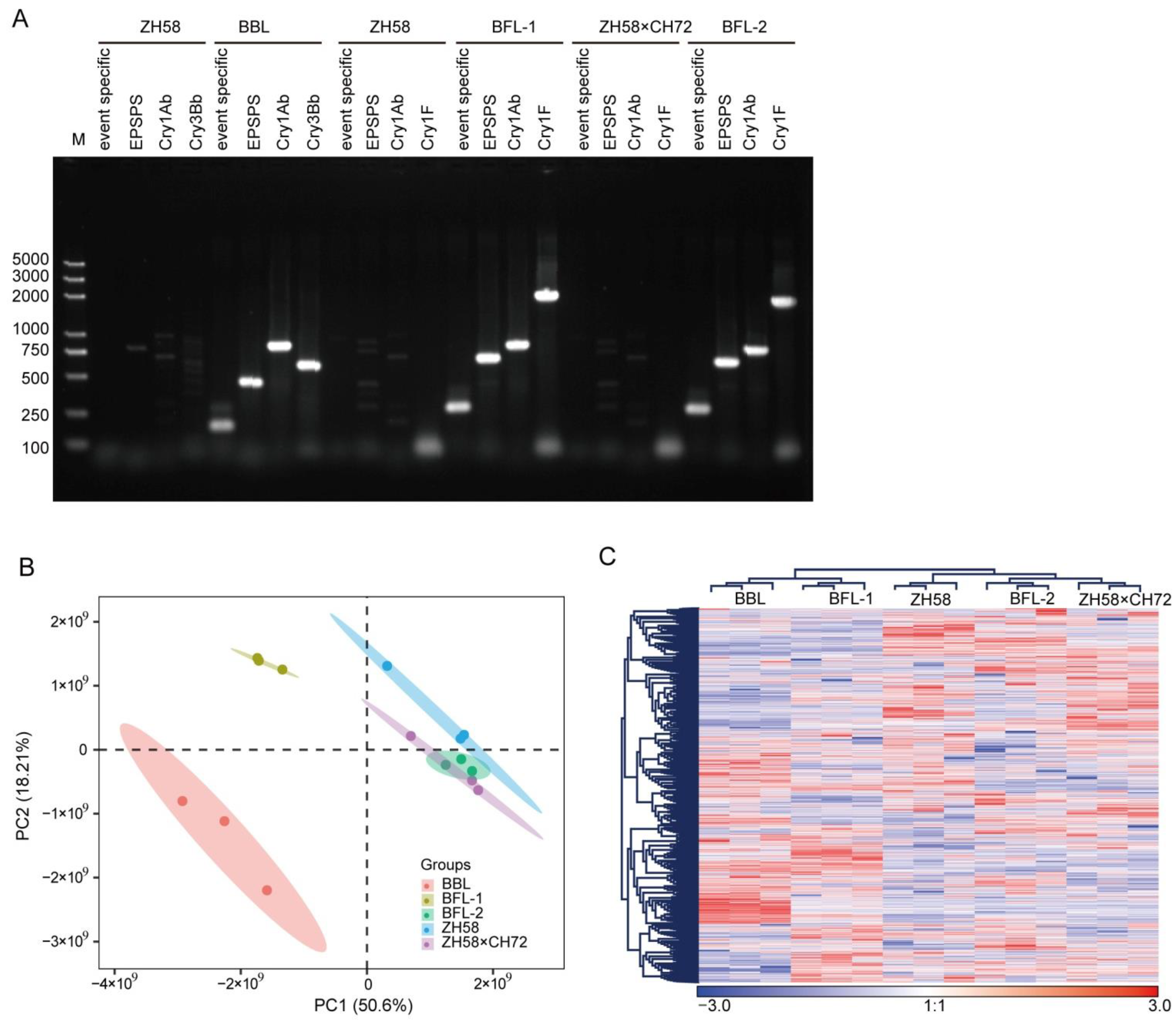 Metabolites 12 01078 g001