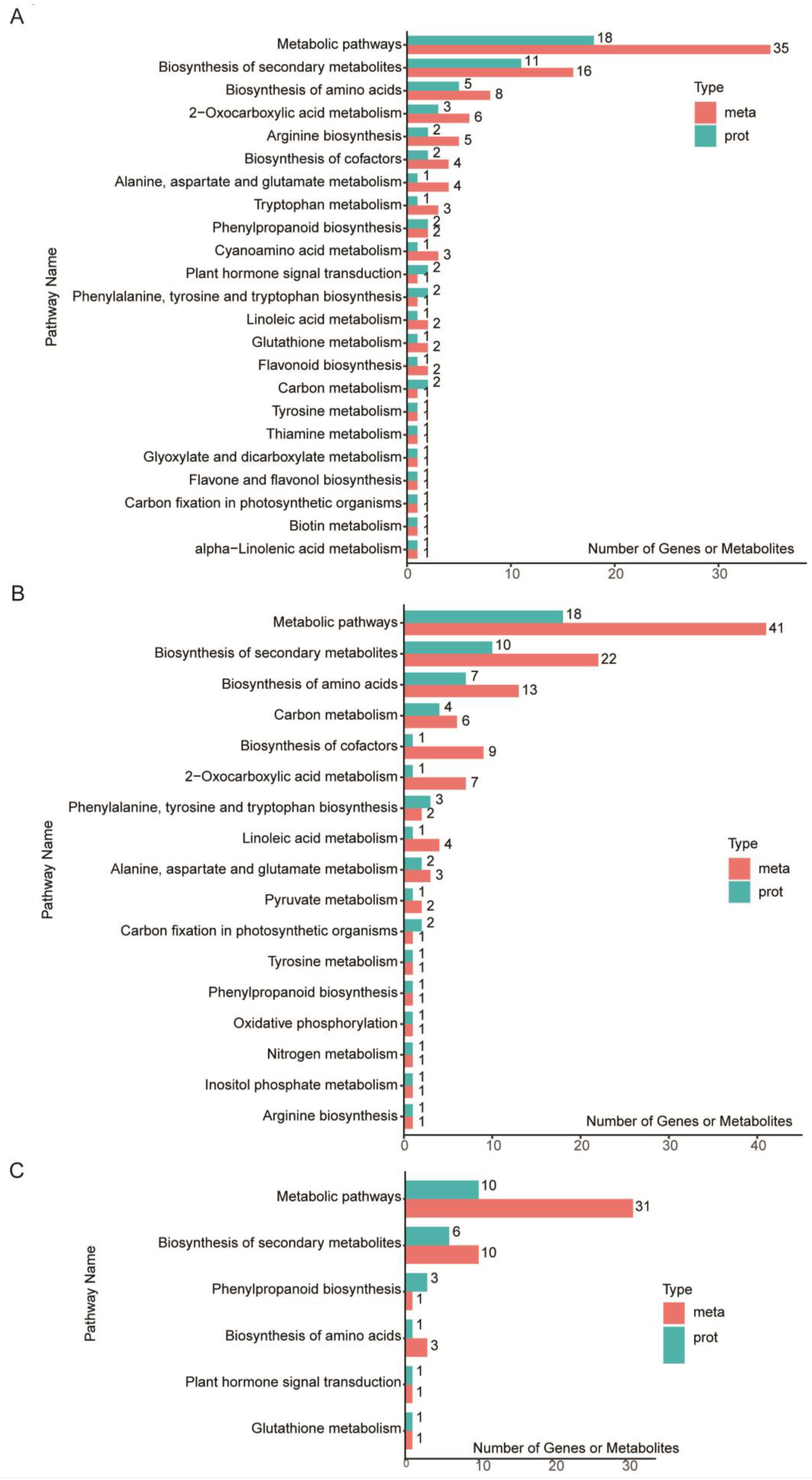 Metabolites 12 01078 g006