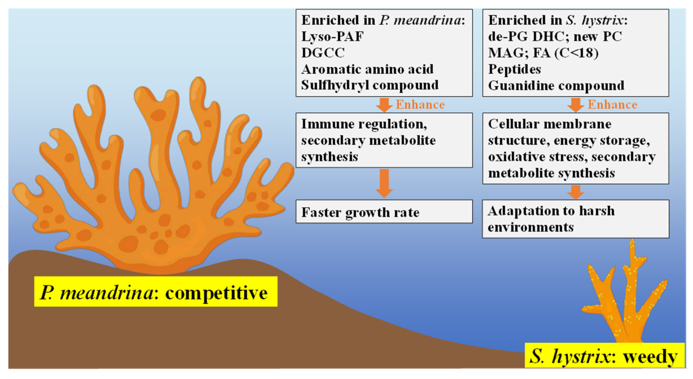 Metabolites 12 01079 g006 Metabolites 12 01079 g006