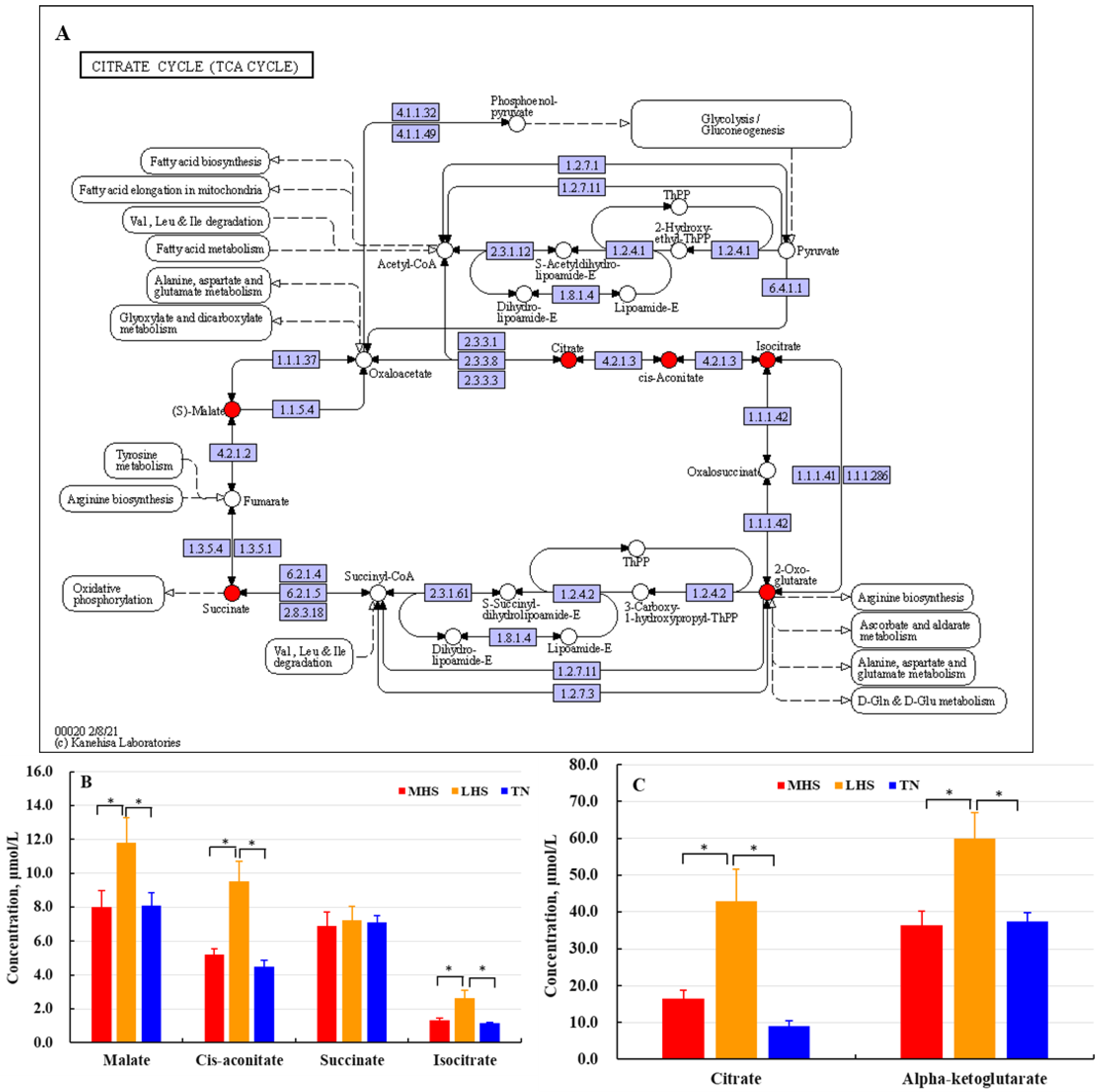 Metabolites 12 01082 g006