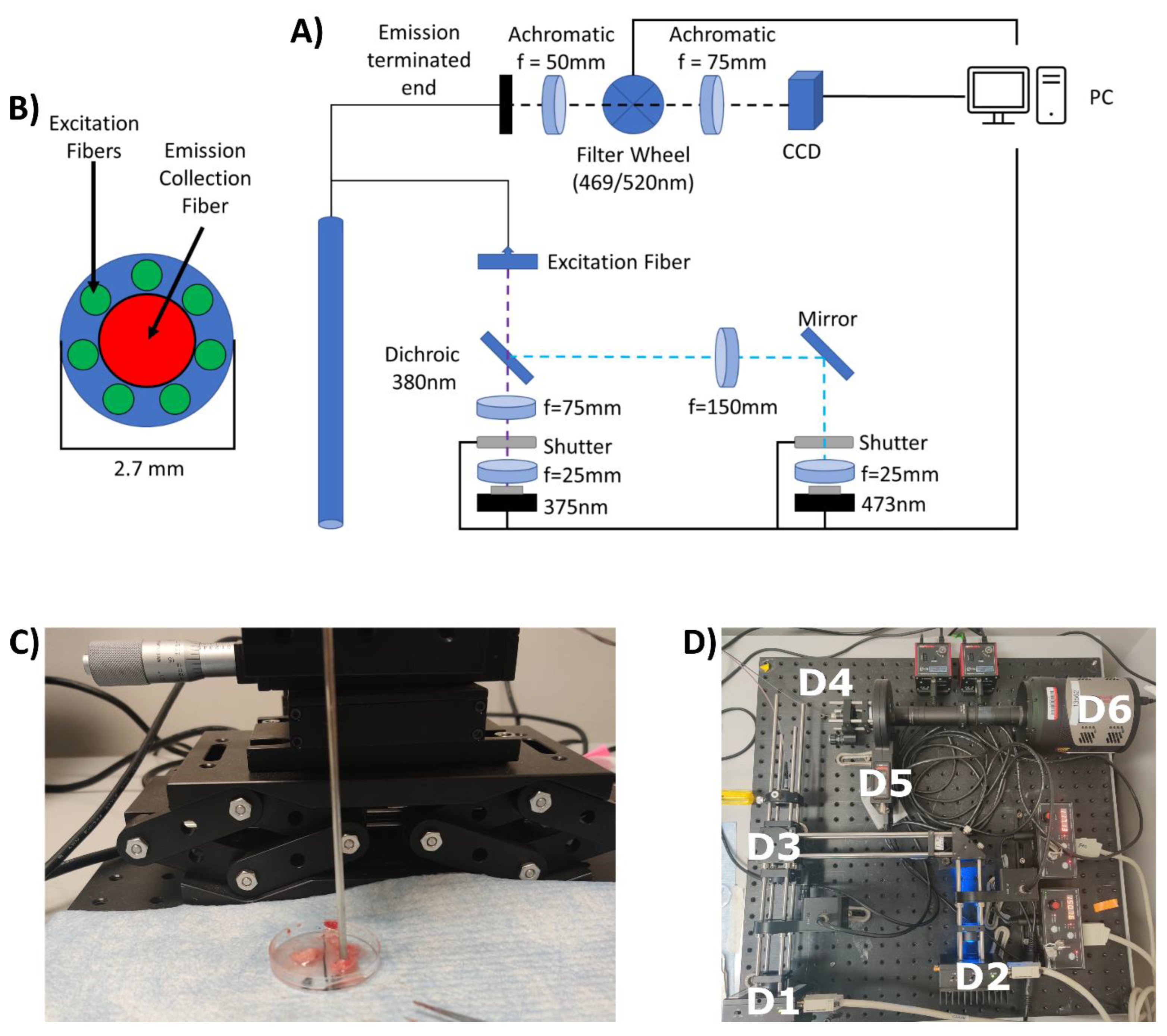 Metabolites 12 01097 g001 Metabolites 12 01097 g001