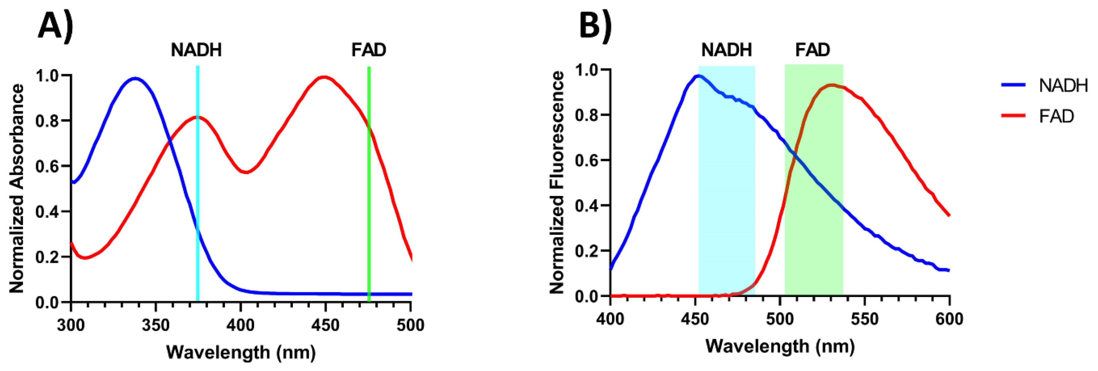 Metabolites 12 01097 g002 Metabolites 12 01097 g002