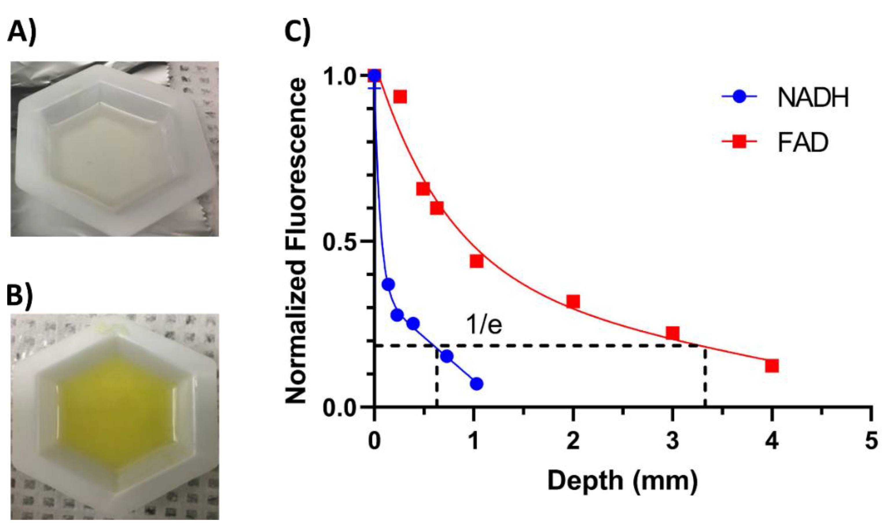 Metabolites 12 01097 g004 Metabolites 12 01097 g004
