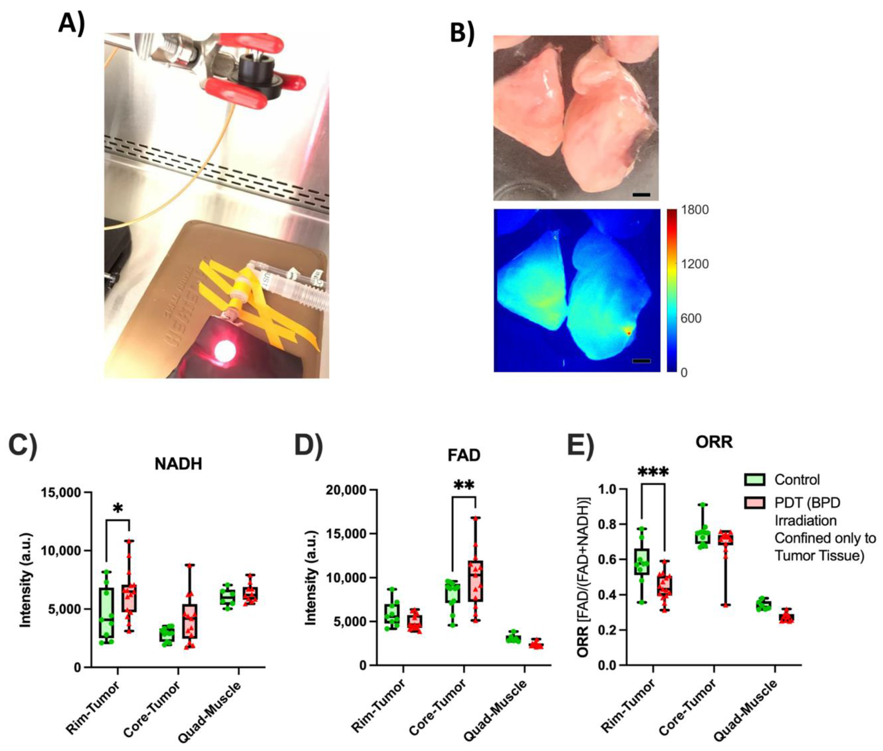 Metabolites 12 01097 g008 Metabolites 12 01097 g008
