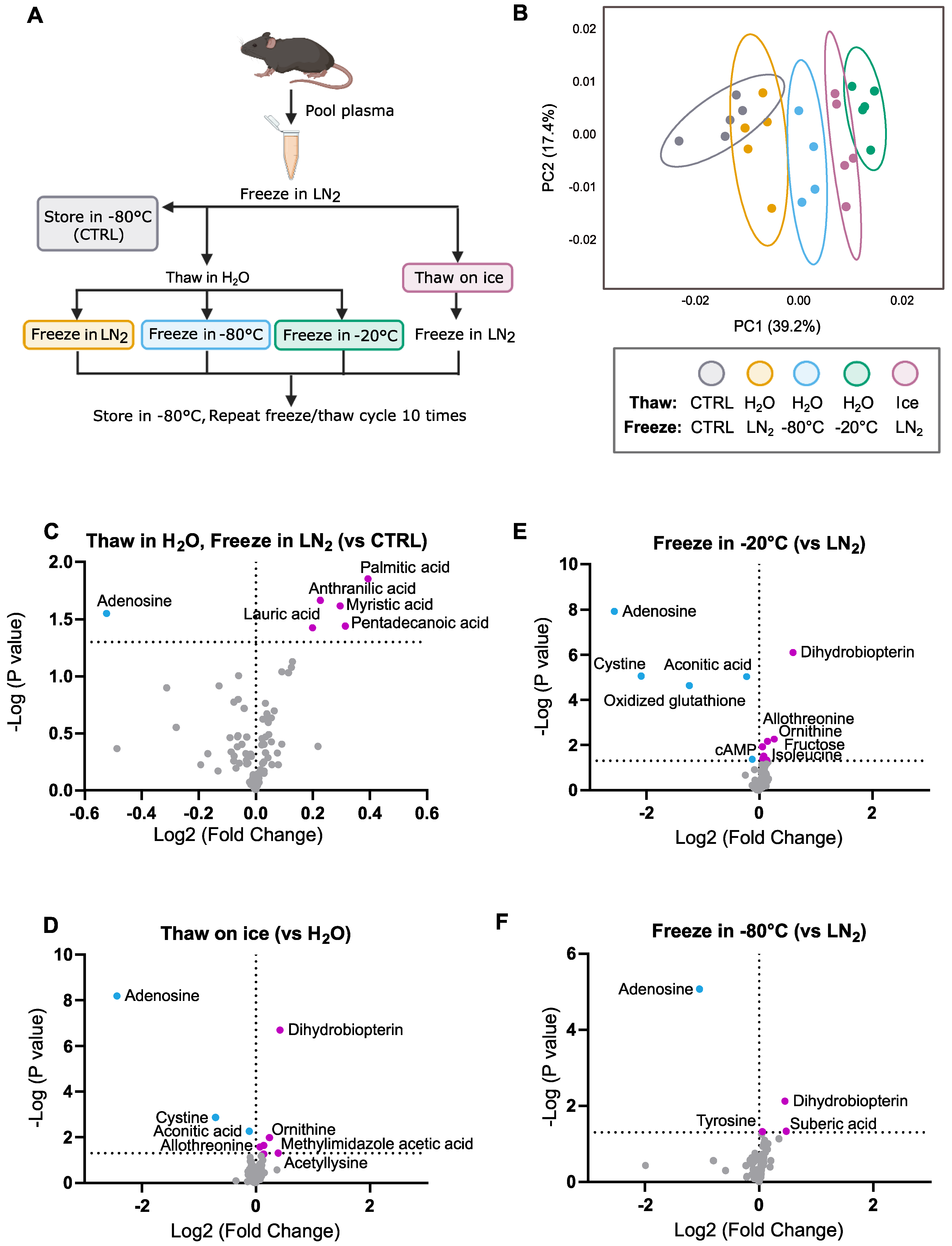 Metabolites 12 01098 g001 Metabolites 12 01098 g001