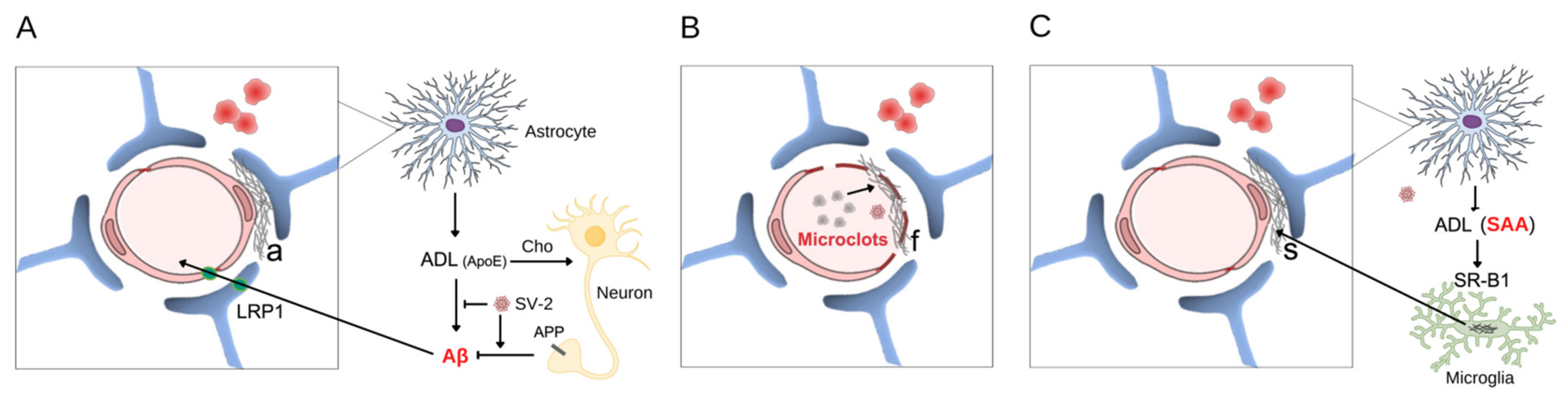 Metabolites 12 01099 g001 Metabolites 12 01099 g001