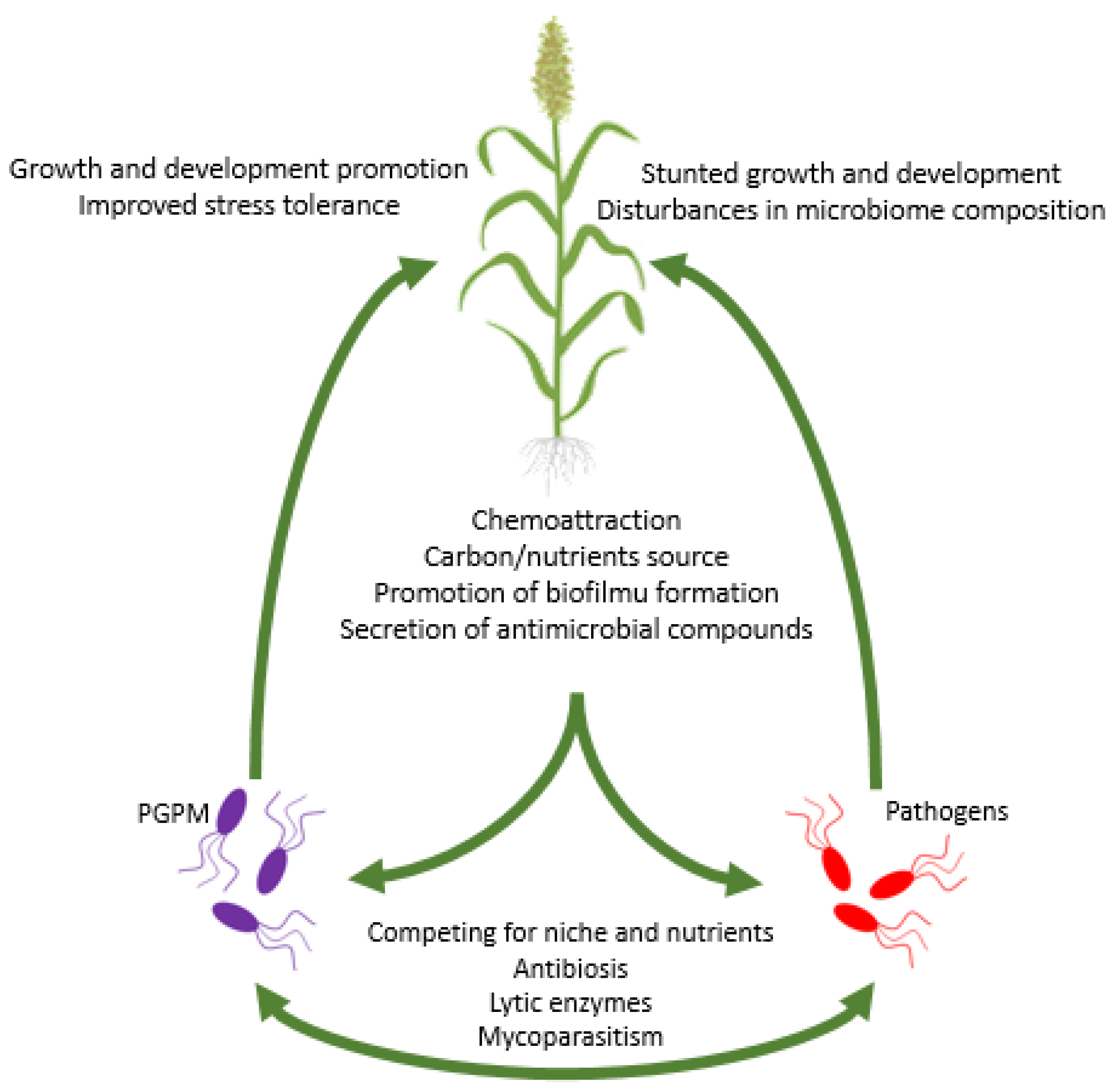 Metabolites 12 01100 g001 Metabolites 12 01100 g001