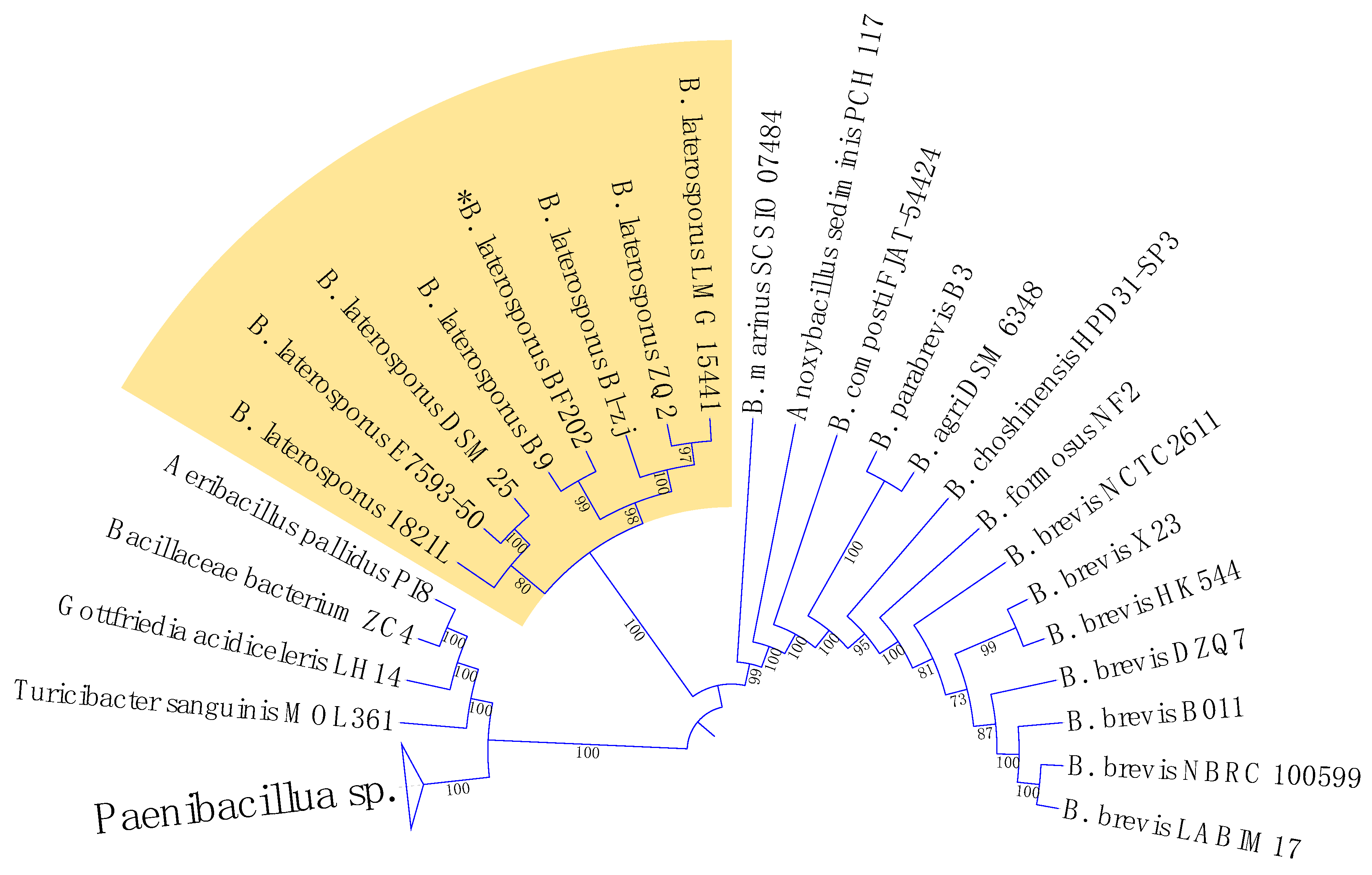Metabolites 12 01102 g003 Metabolites 12 01102 g003