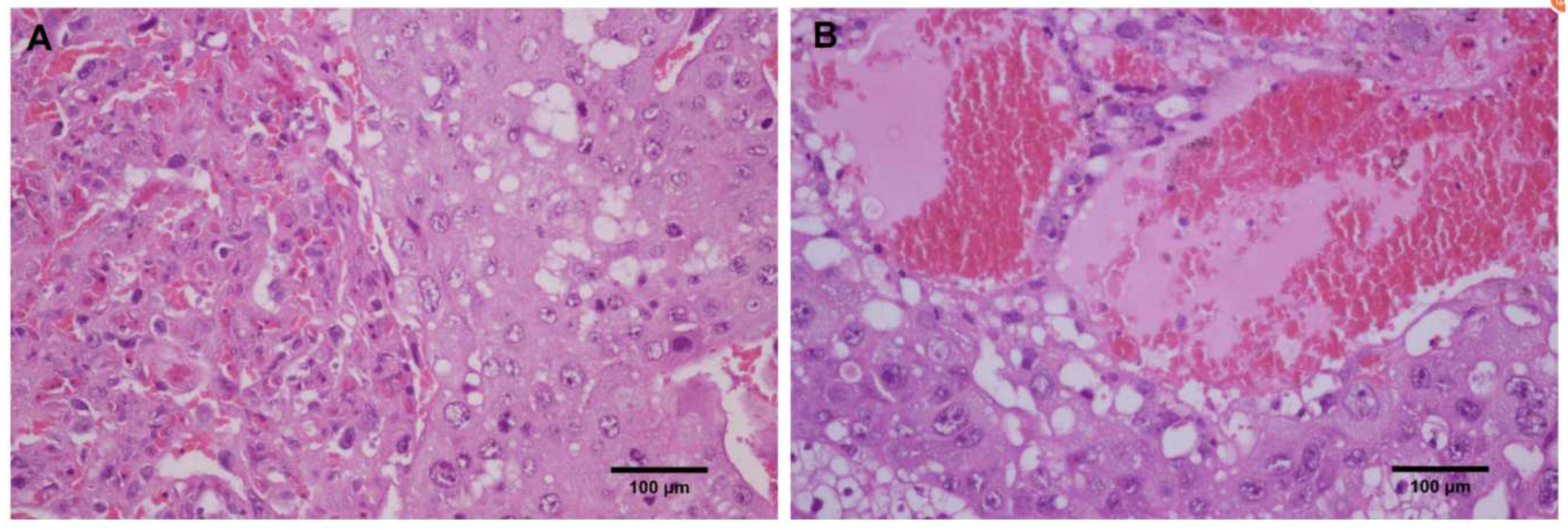 Metabolites 12 01105 g001 Metabolites 12 01105 g001