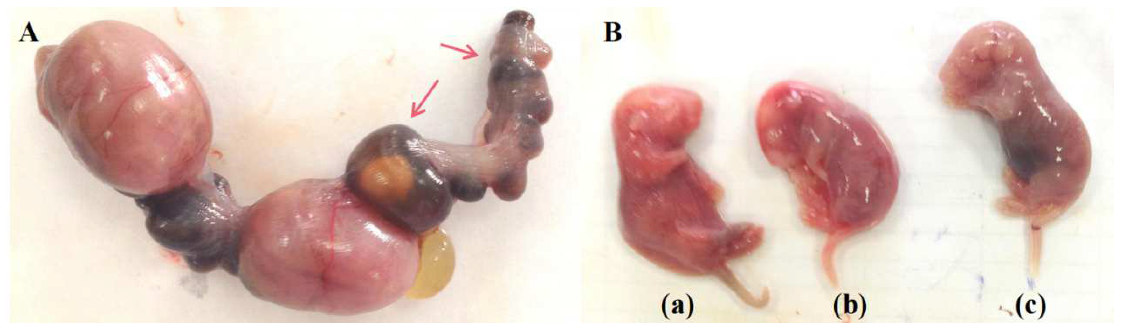 Metabolites 12 01105 g002 Metabolites 12 01105 g002