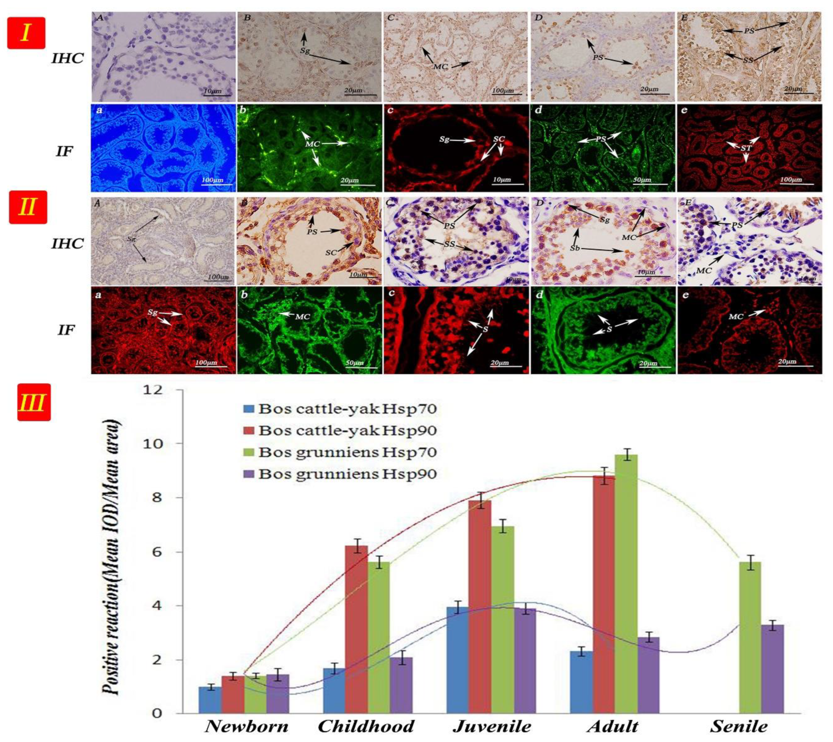 Metabolites 12 01114 g007
