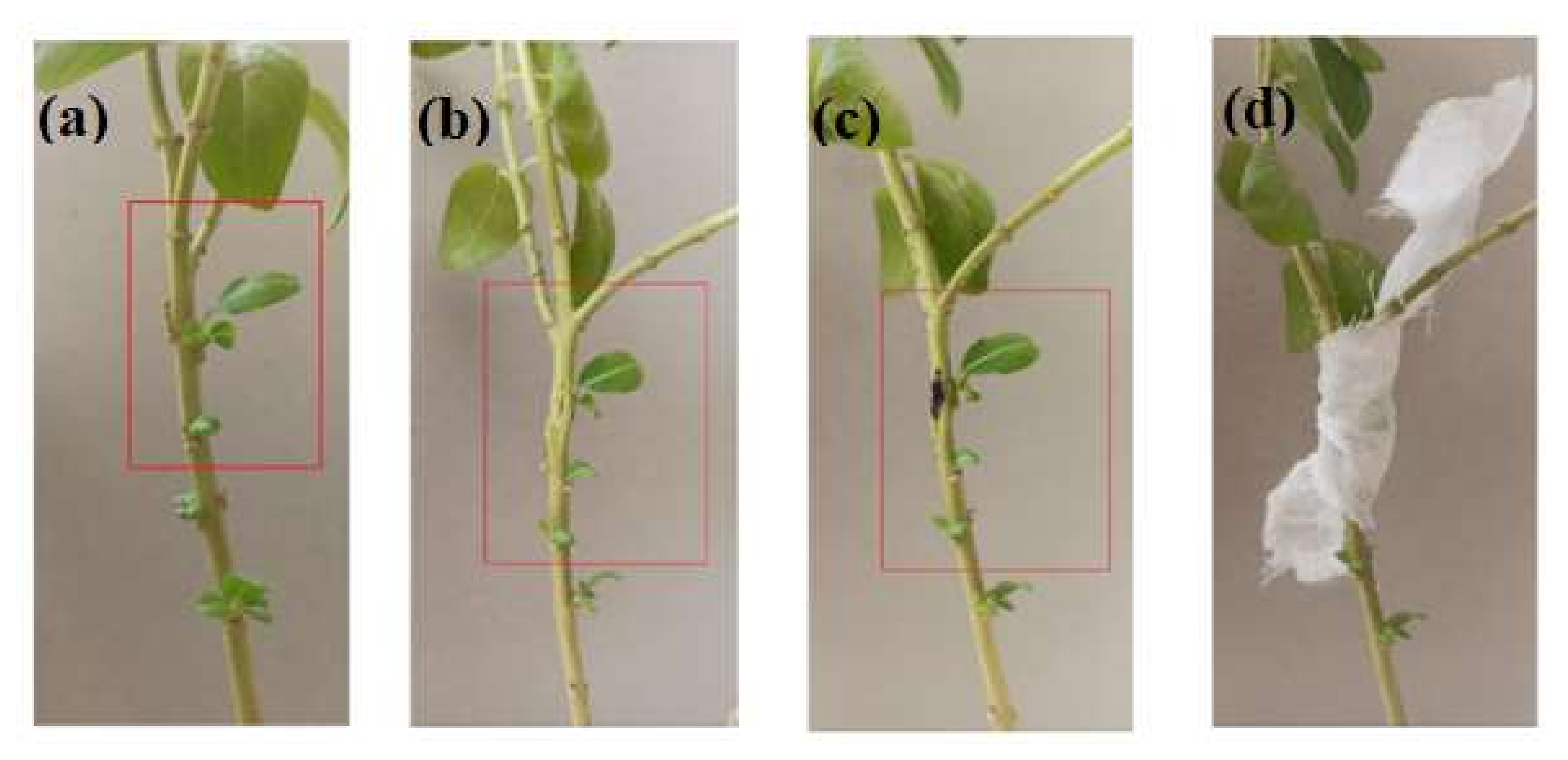 Metabolites 12 01119 g002 Metabolites 12 01119 g002