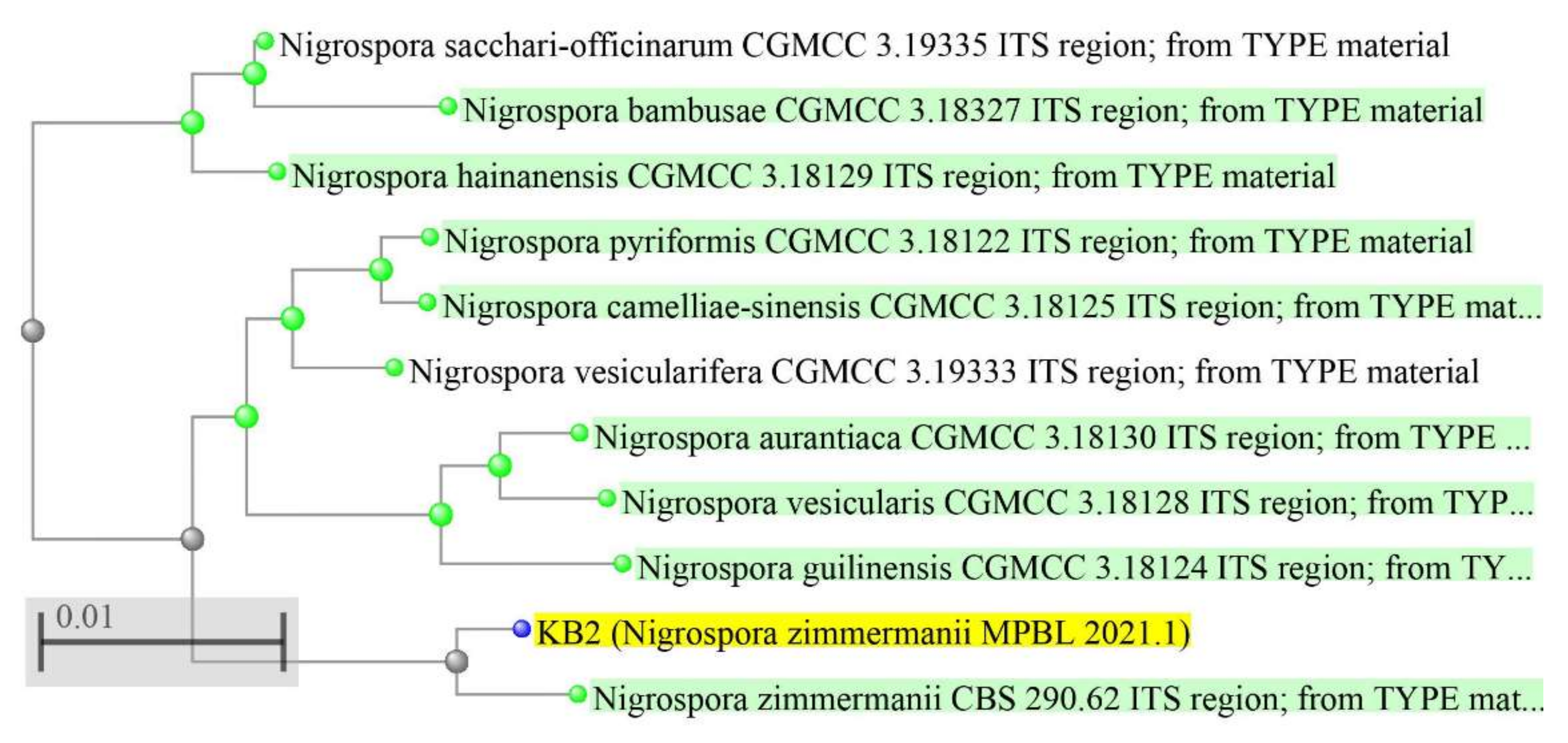 Metabolites 12 01119 g003 Metabolites 12 01119 g003