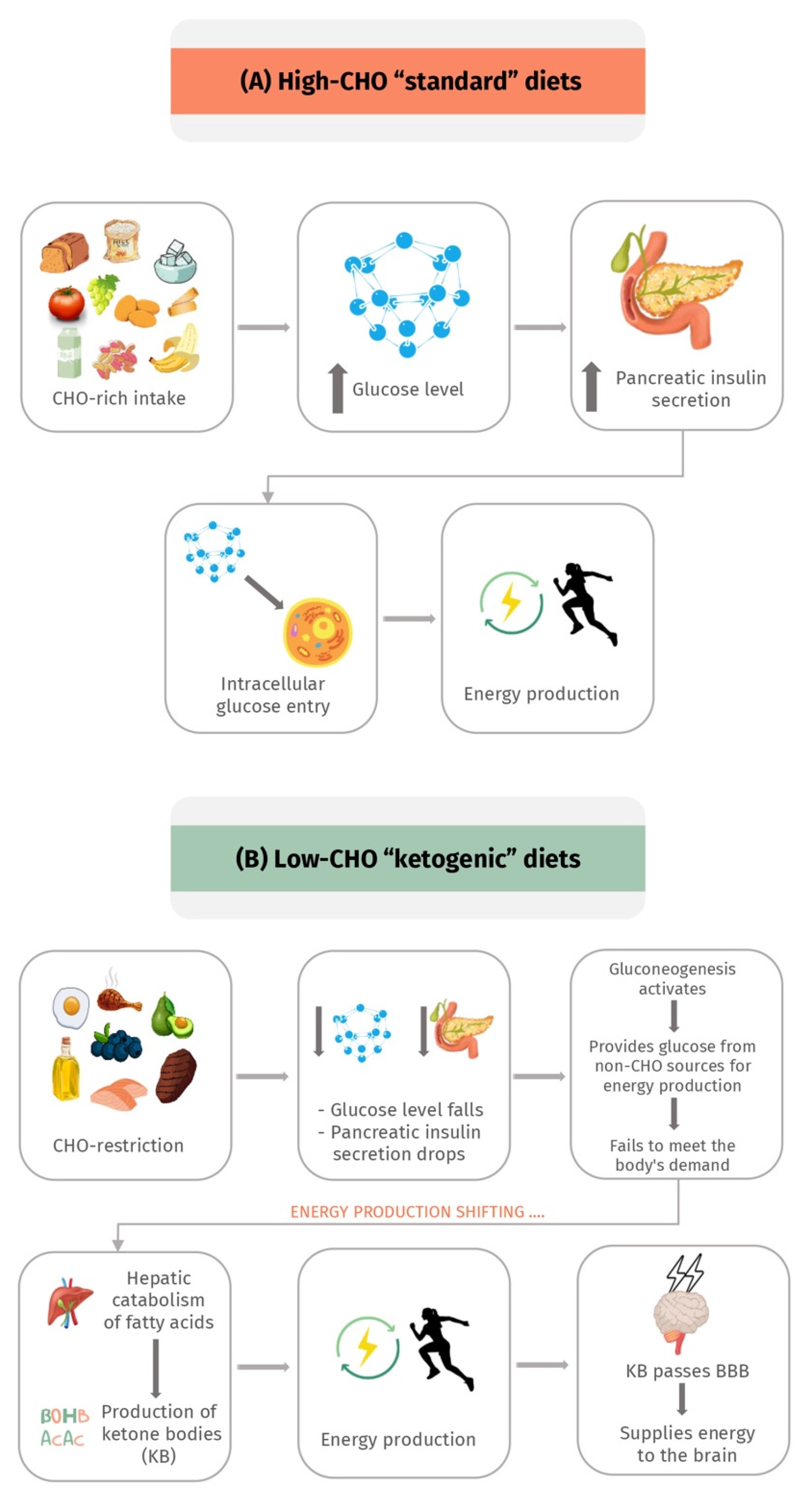 The Importance of Managing Potassium and Sodium as Part of a  Well-Formulated Ketogenic Diet