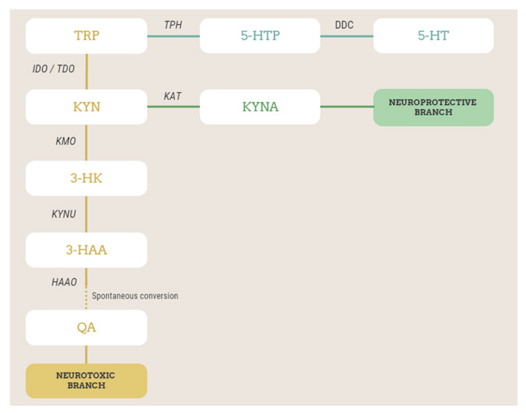 Metabolites 12 01127 g001 Metabolites 12 01127 g001