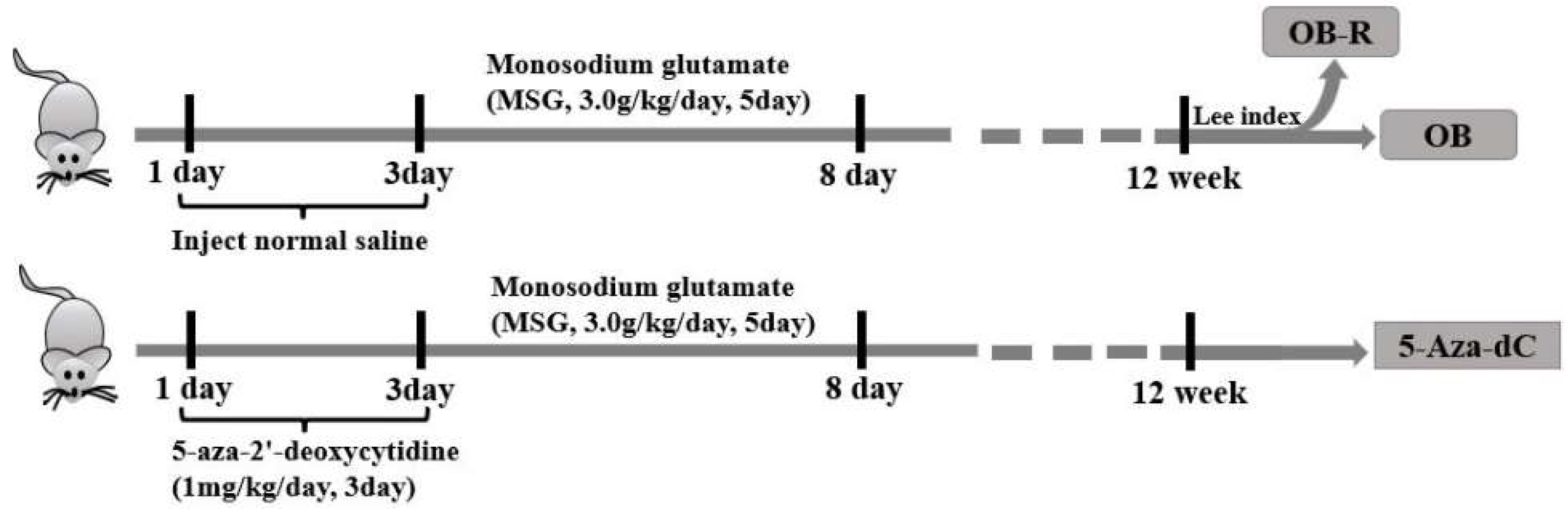 Metabolites 12 01131 g001 Metabolites 12 01131 g001