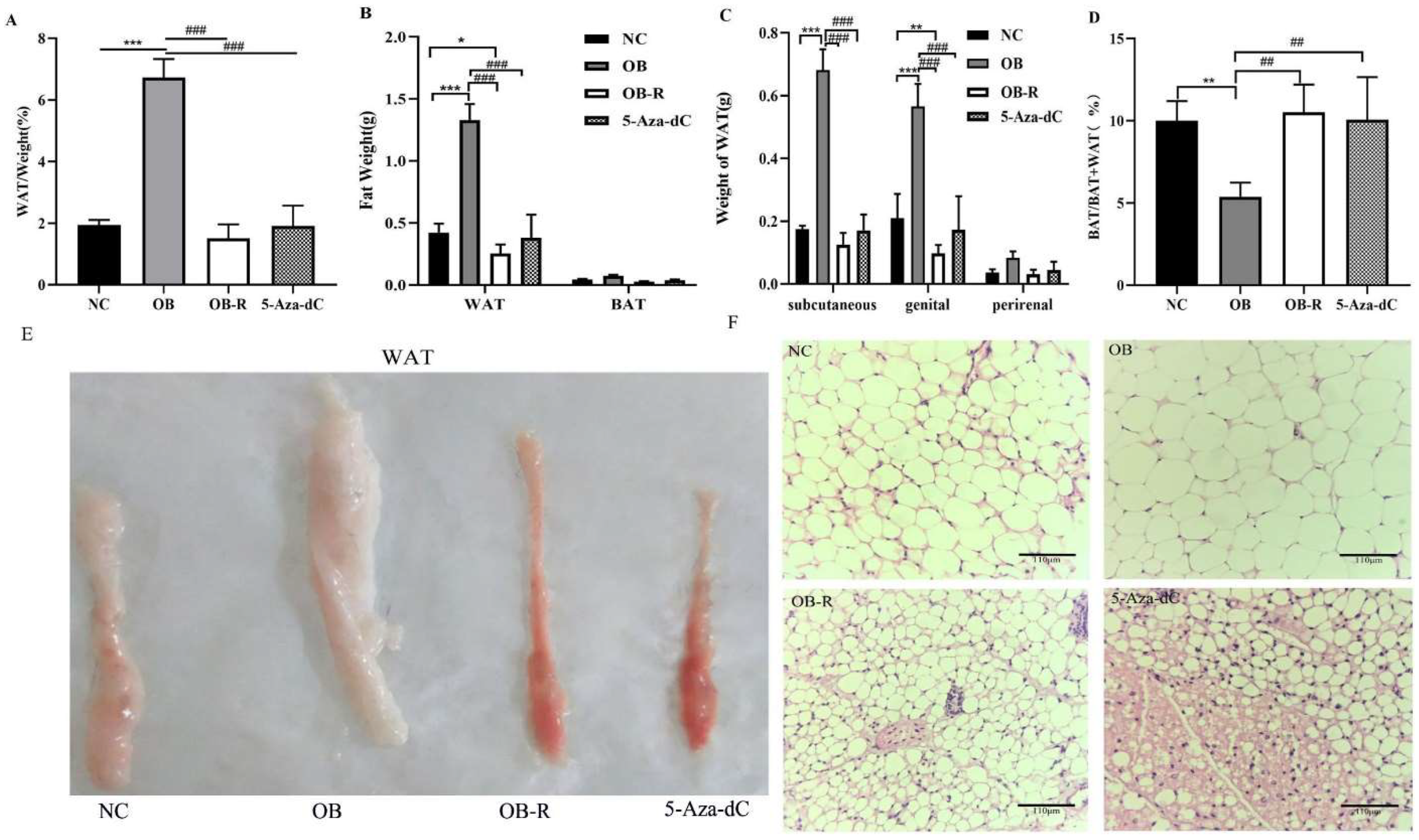 Metabolites 12 01131 g003 Metabolites 12 01131 g003