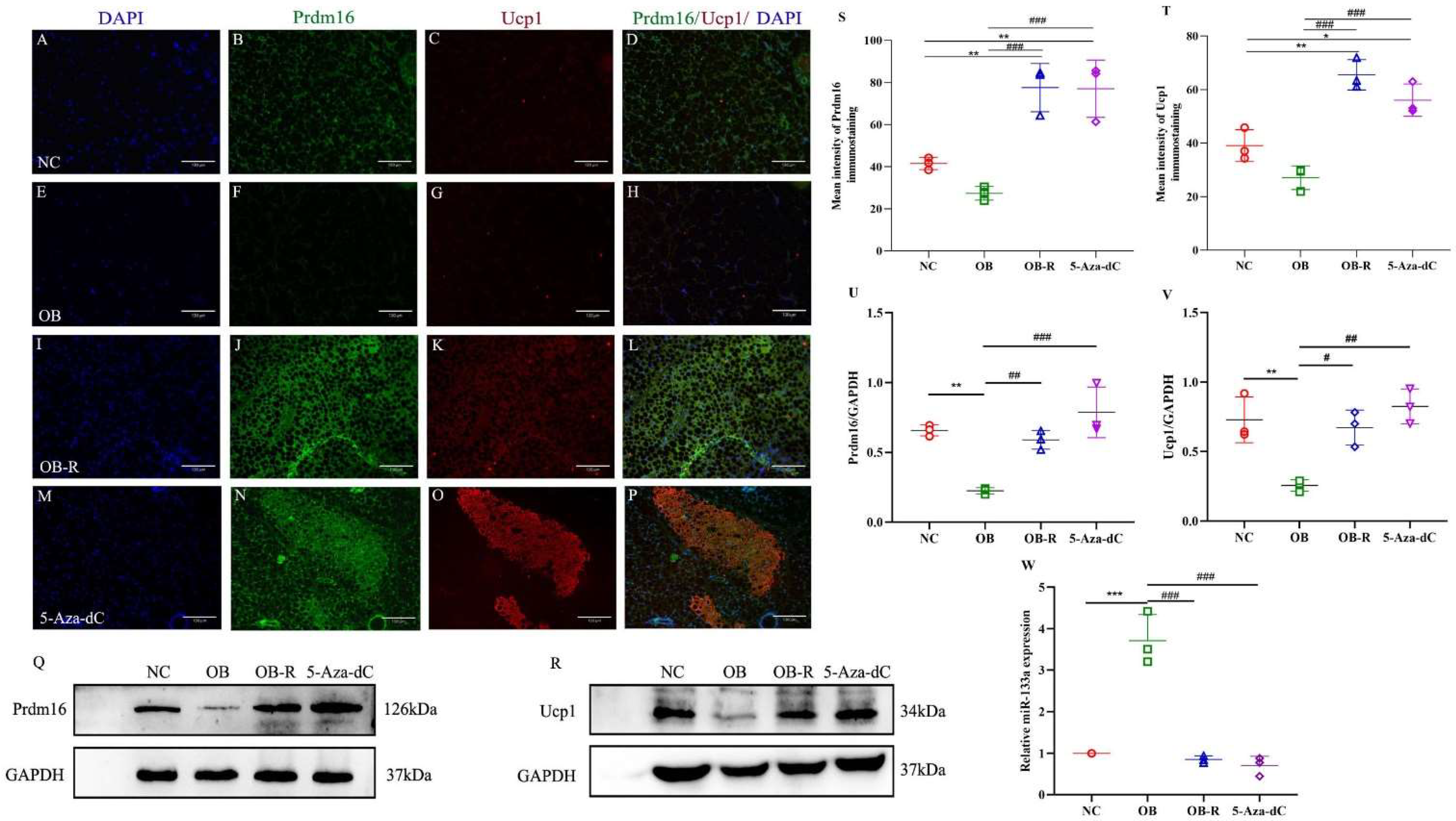 Metabolites 12 01131 g004 Metabolites 12 01131 g004