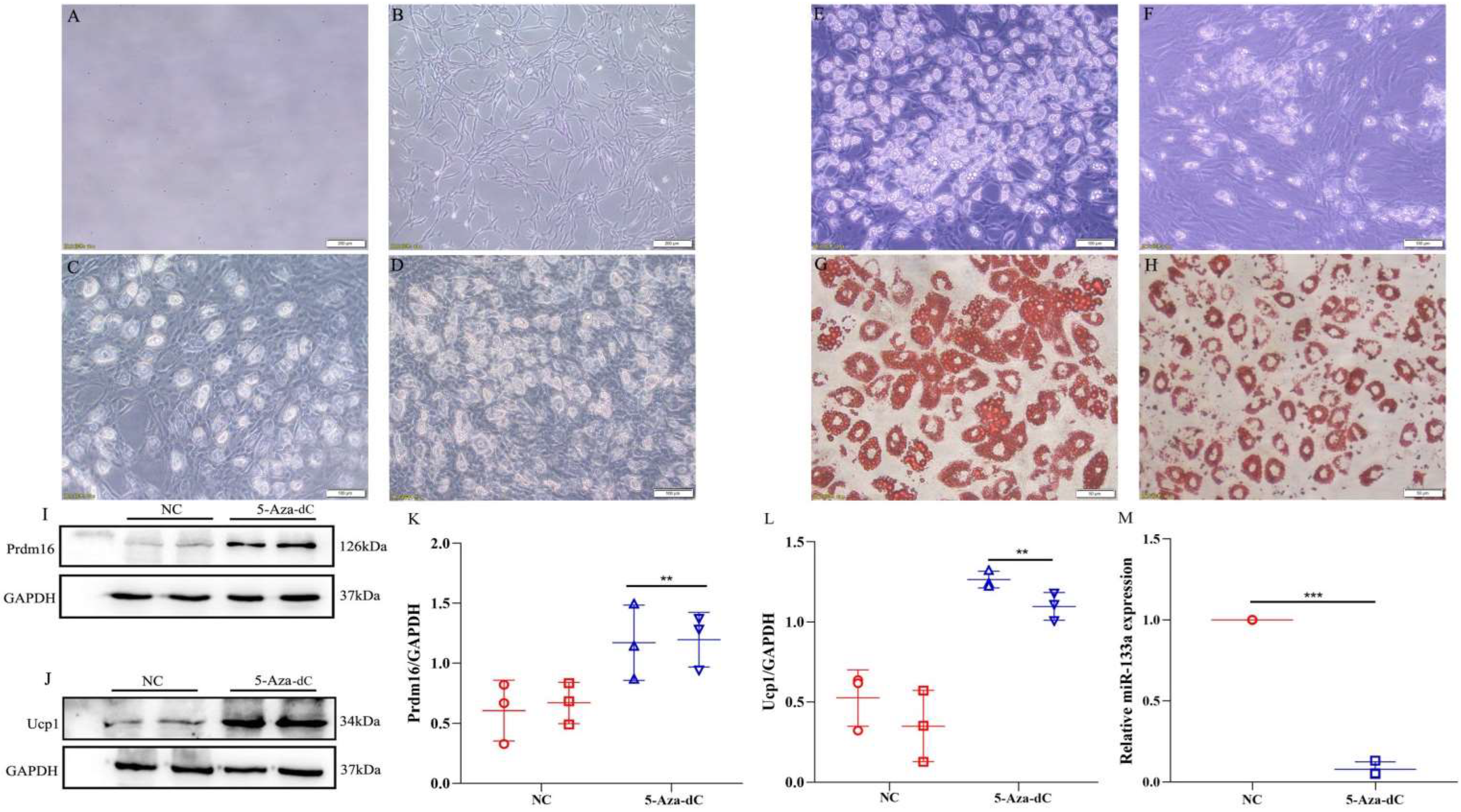 Metabolites 12 01131 g005 Metabolites 12 01131 g005