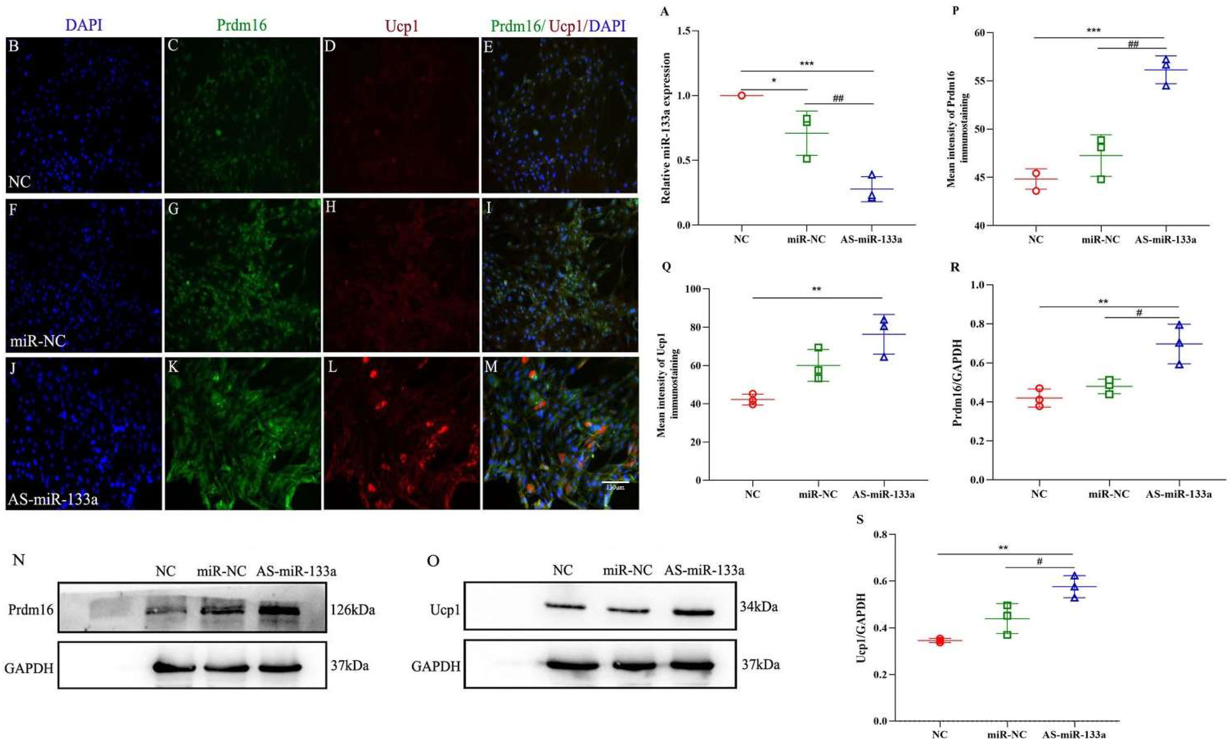 Metabolites 12 01131 g006 Metabolites 12 01131 g006