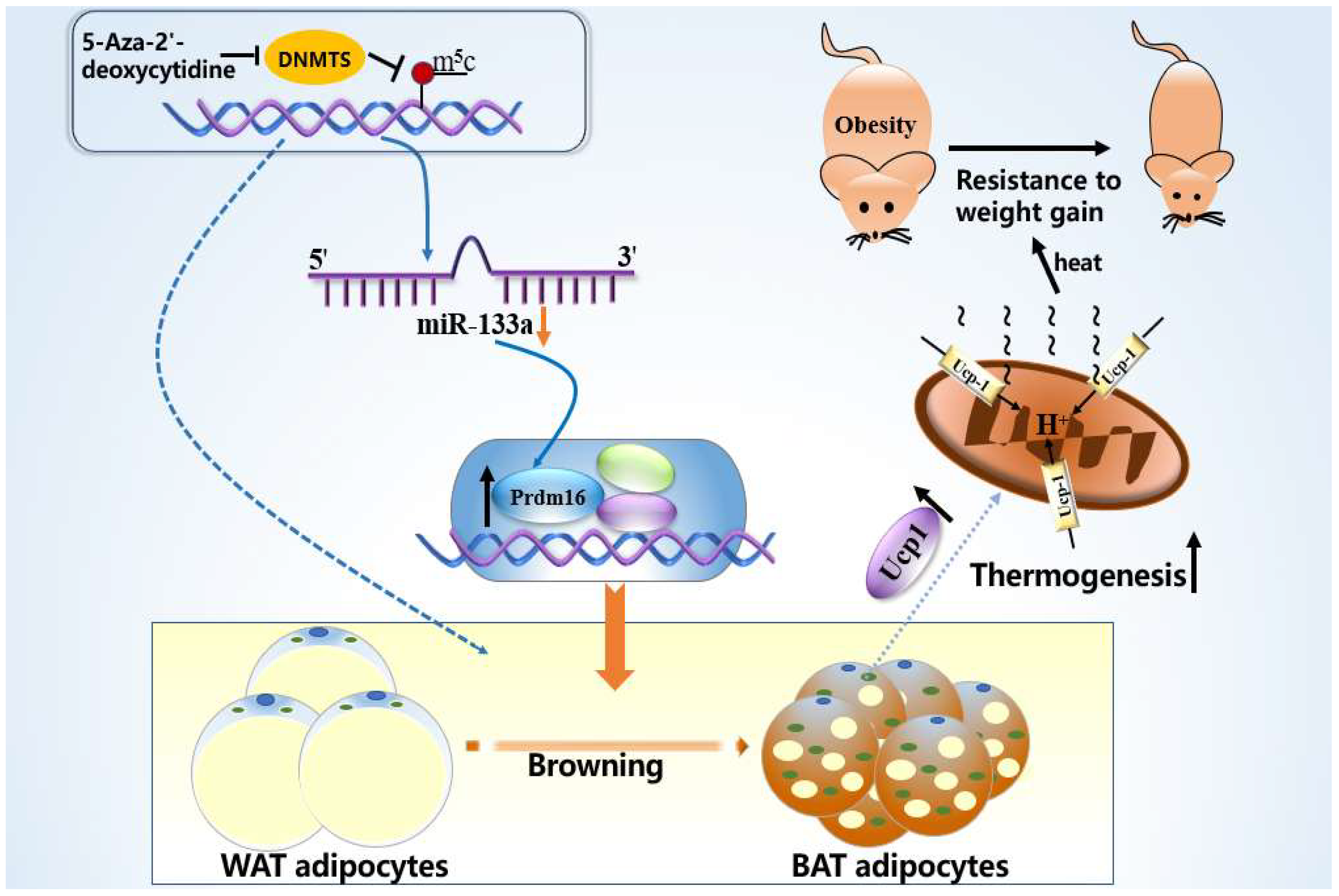 Metabolites 12 01131 g007 Metabolites 12 01131 g007