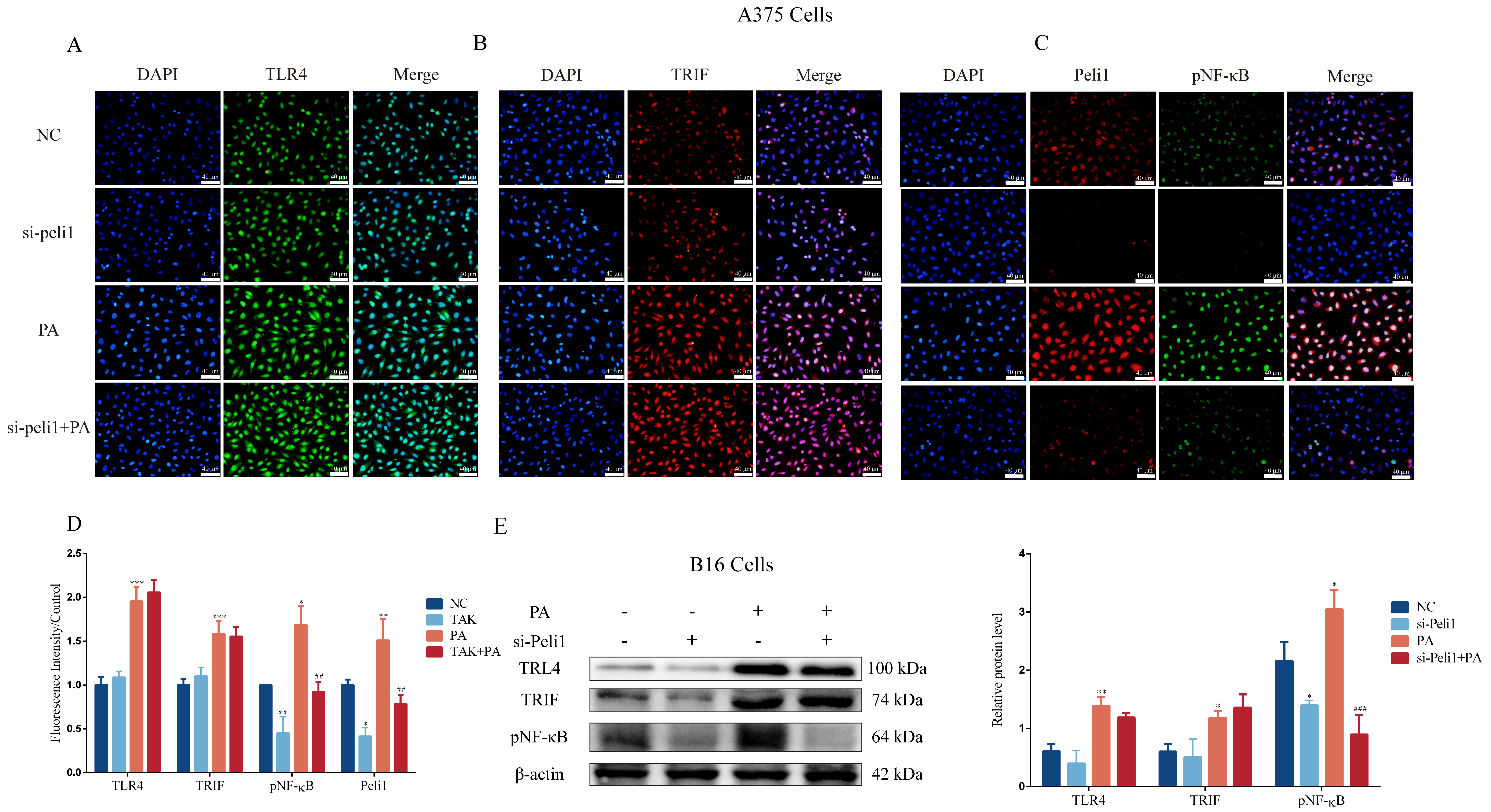 Metabolites 12 01132 g007 Metabolites 12 01132 g007