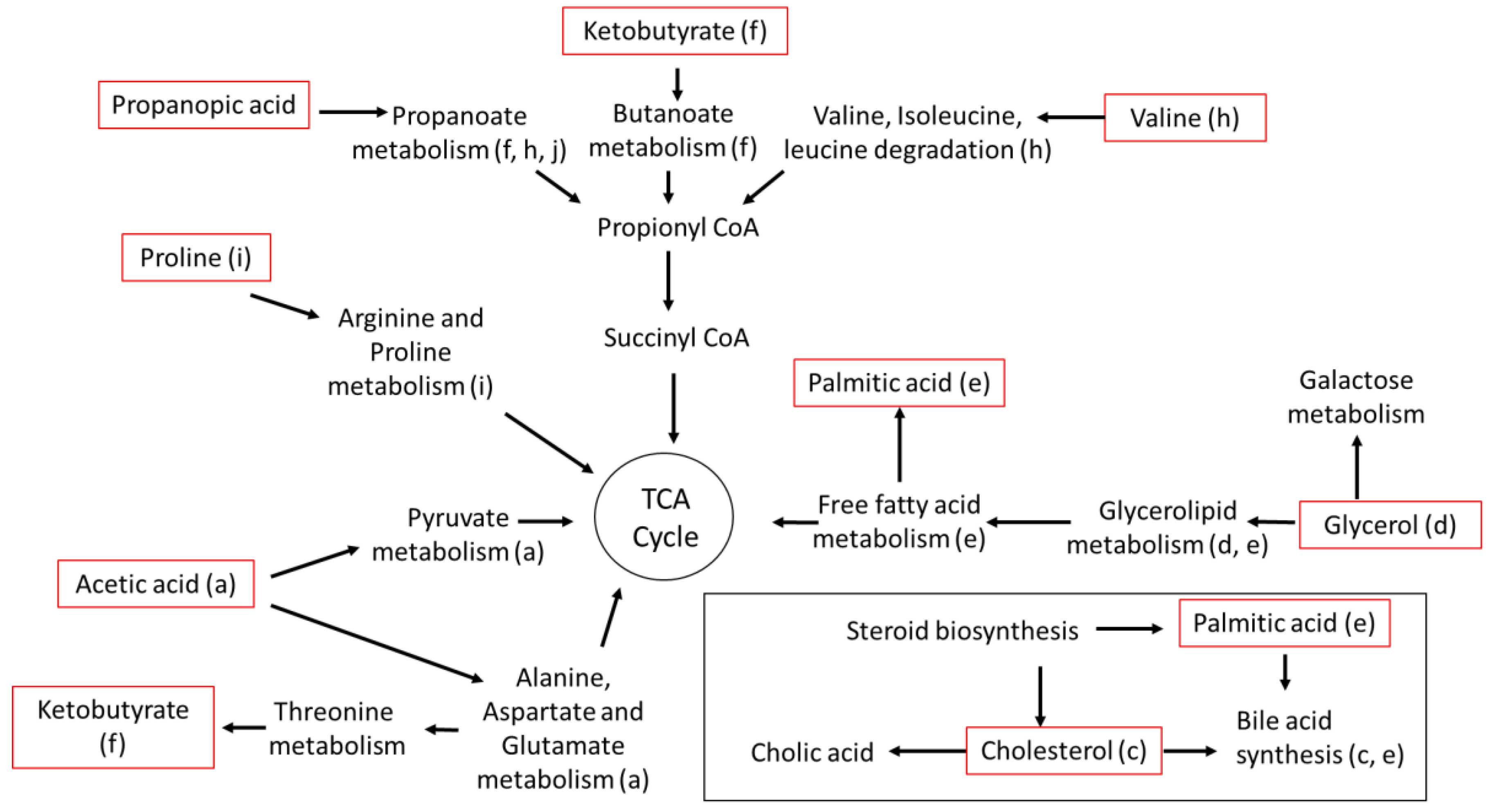 Metabolites 12 01135 g008 Metabolites 12 01135 g008